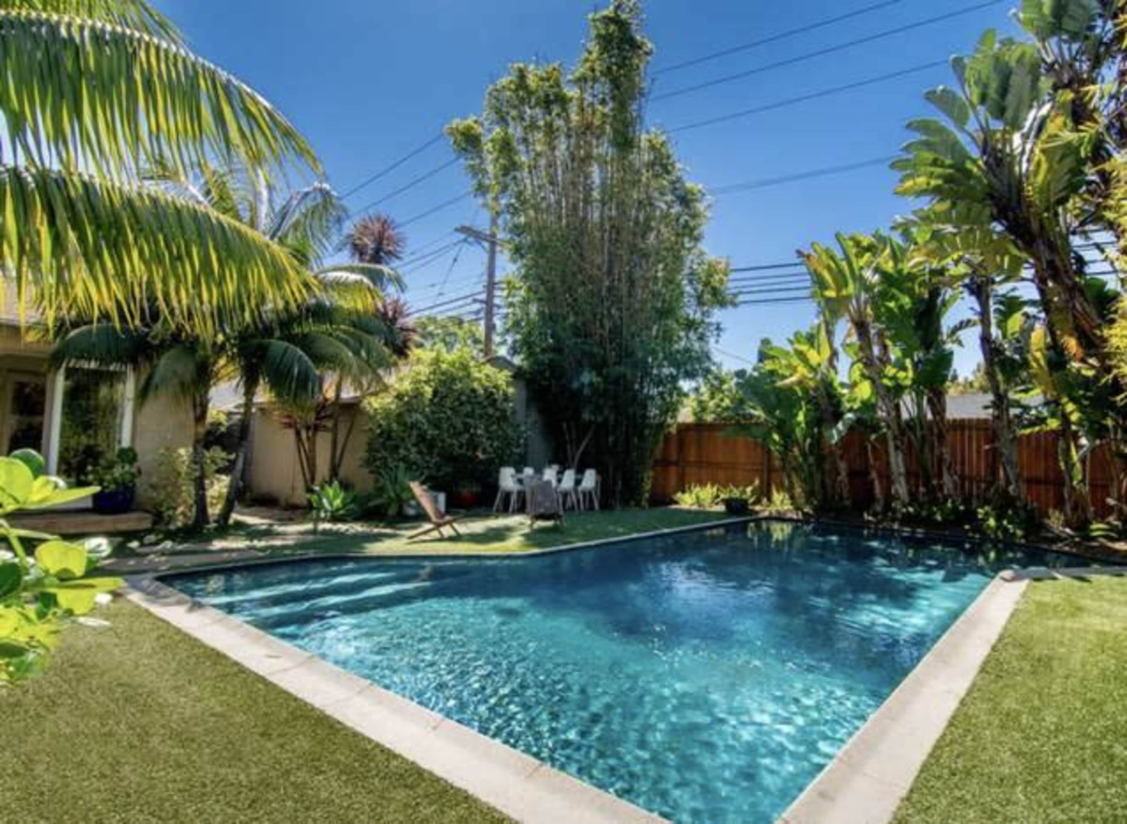 A swimming pool surrounded by tropical plants and a wooden fence in a sunny backyard.