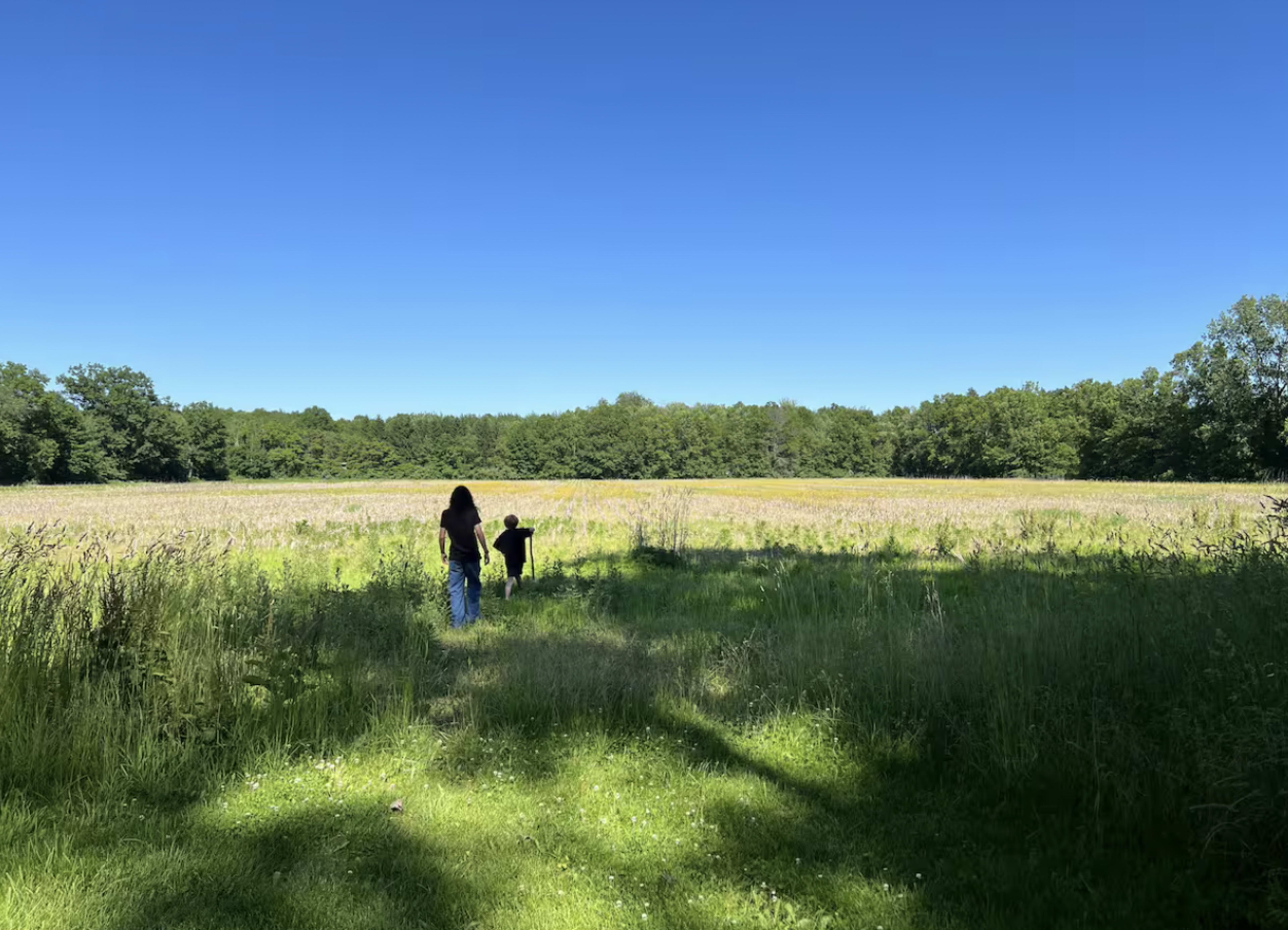 20 Acre Organic Farm with farmhouse, dive bar, pole barn, fire pit, pool, hot tub and a creepy old barn that used to house goats and chickens. Image in Baroda Township, Baroda, MI