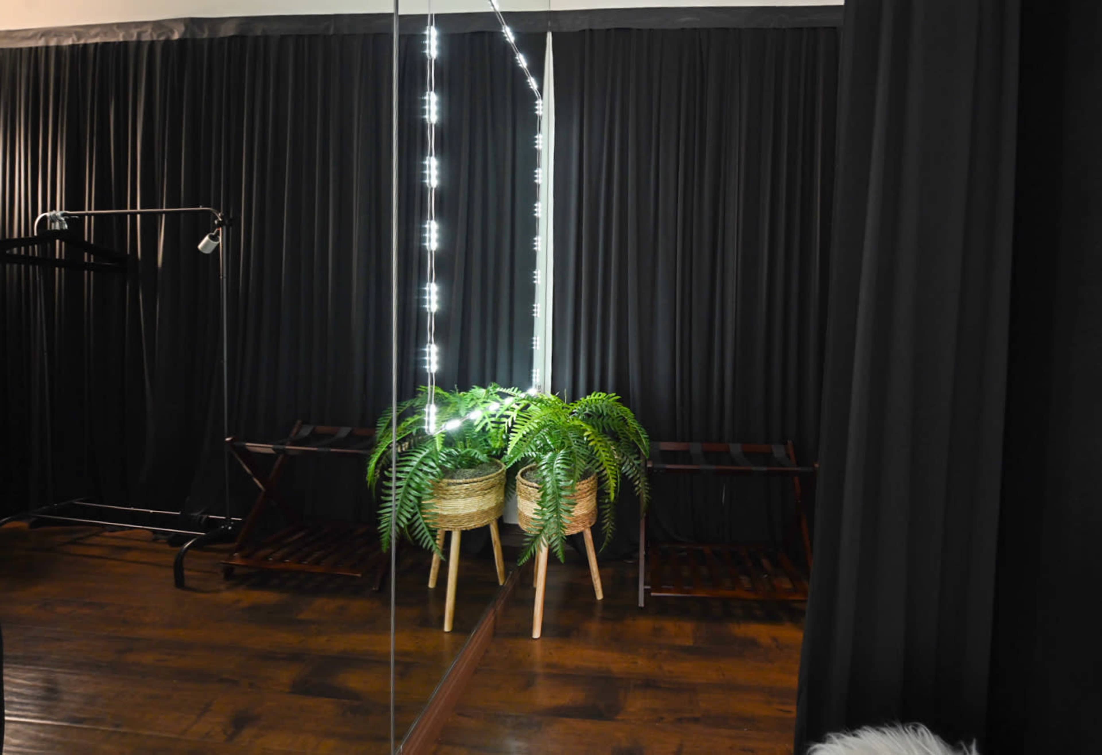 The image shows a mirrored area with two potted ferns on a wooden surface, surrounded by black curtains.
