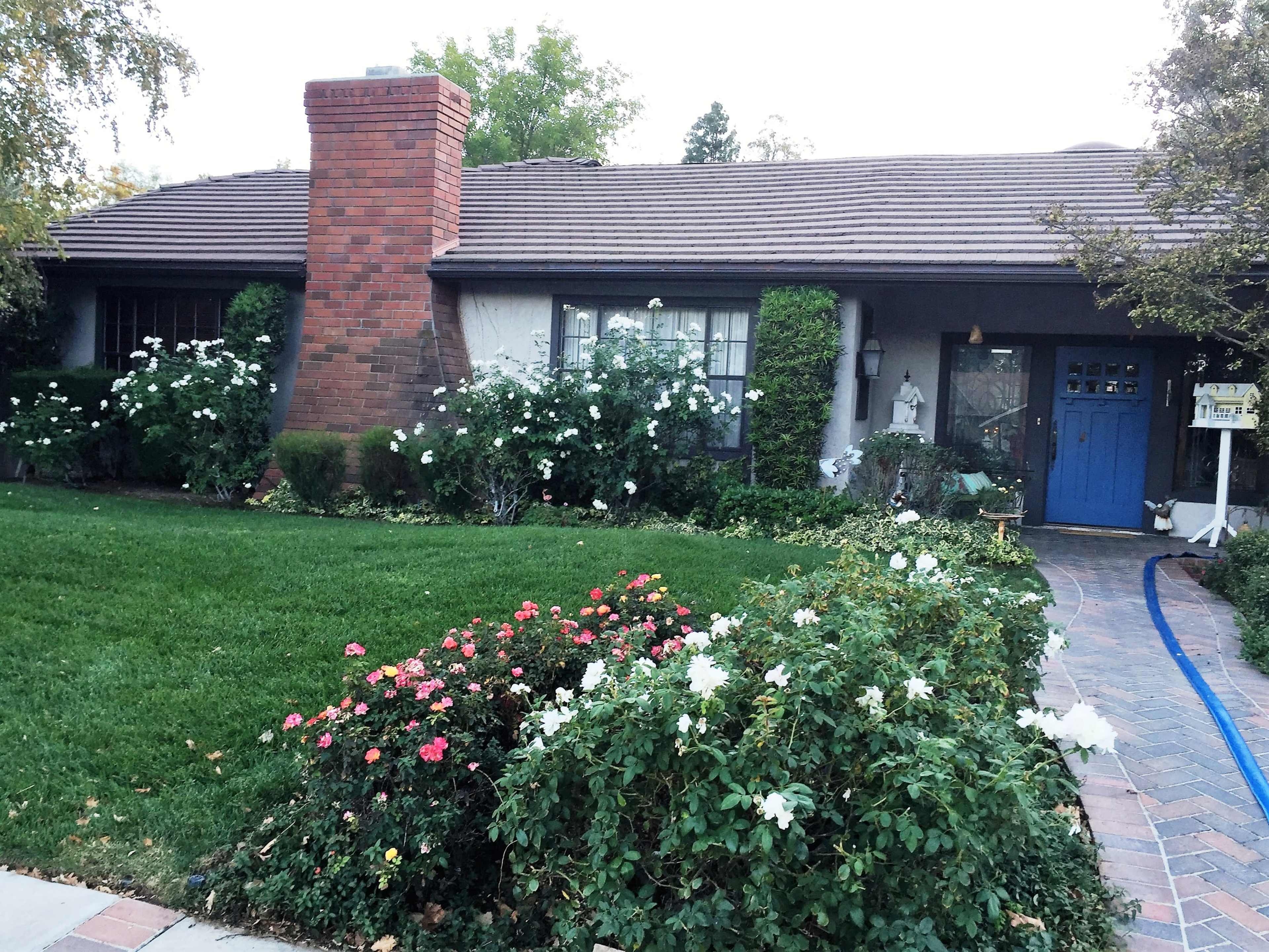 The image shows a single-story house with a red brick chimney, a blue front door, and a well-maintained garden featuring roses and other flowers.