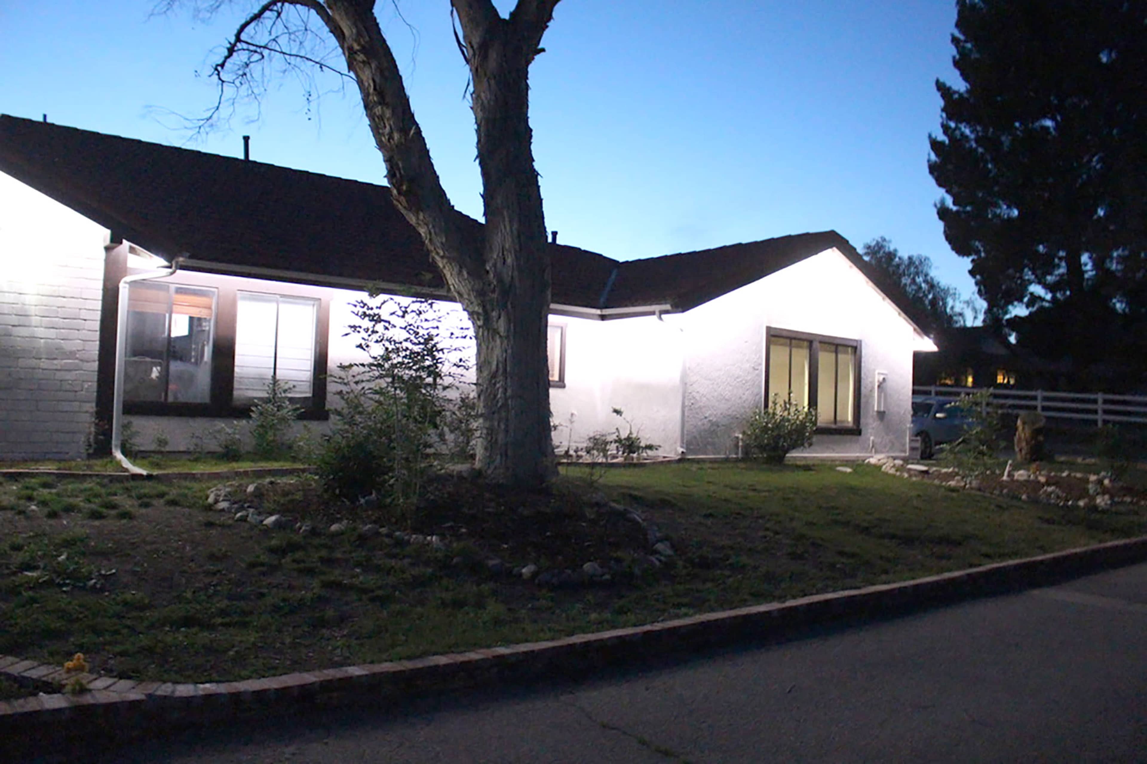 A house with exterior lighting sits next to a tree, surrounded by a small garden, during twilight.