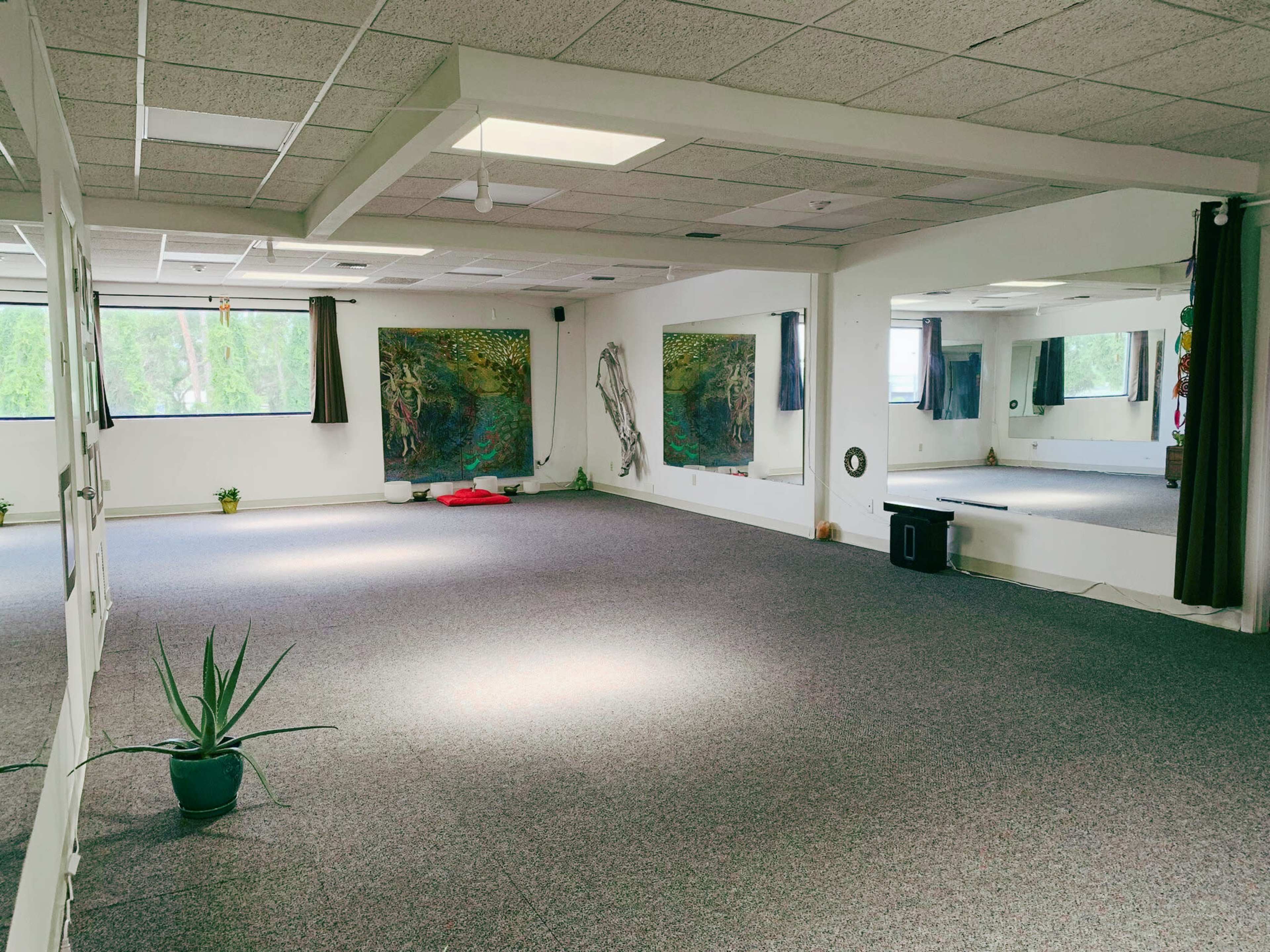 A spacious, empty room with carpeted flooring, large windows, and artwork on the walls, along with mirrors and plants placed around the space.