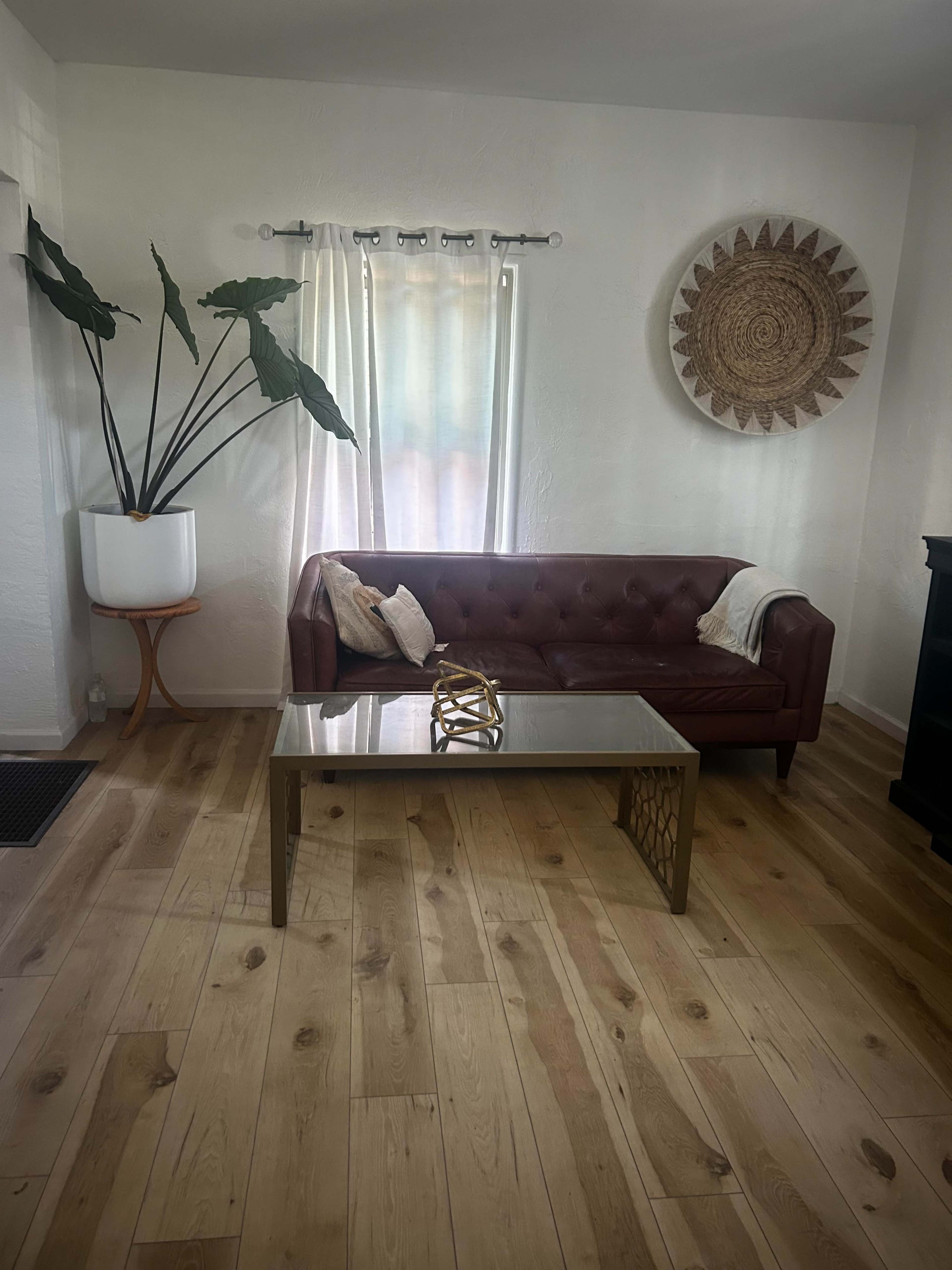 The image shows a living room with a brown leather sofa, a glass coffee table, a large leafy plant in a white planter, and a decorative wall piece on a light-colored wall.