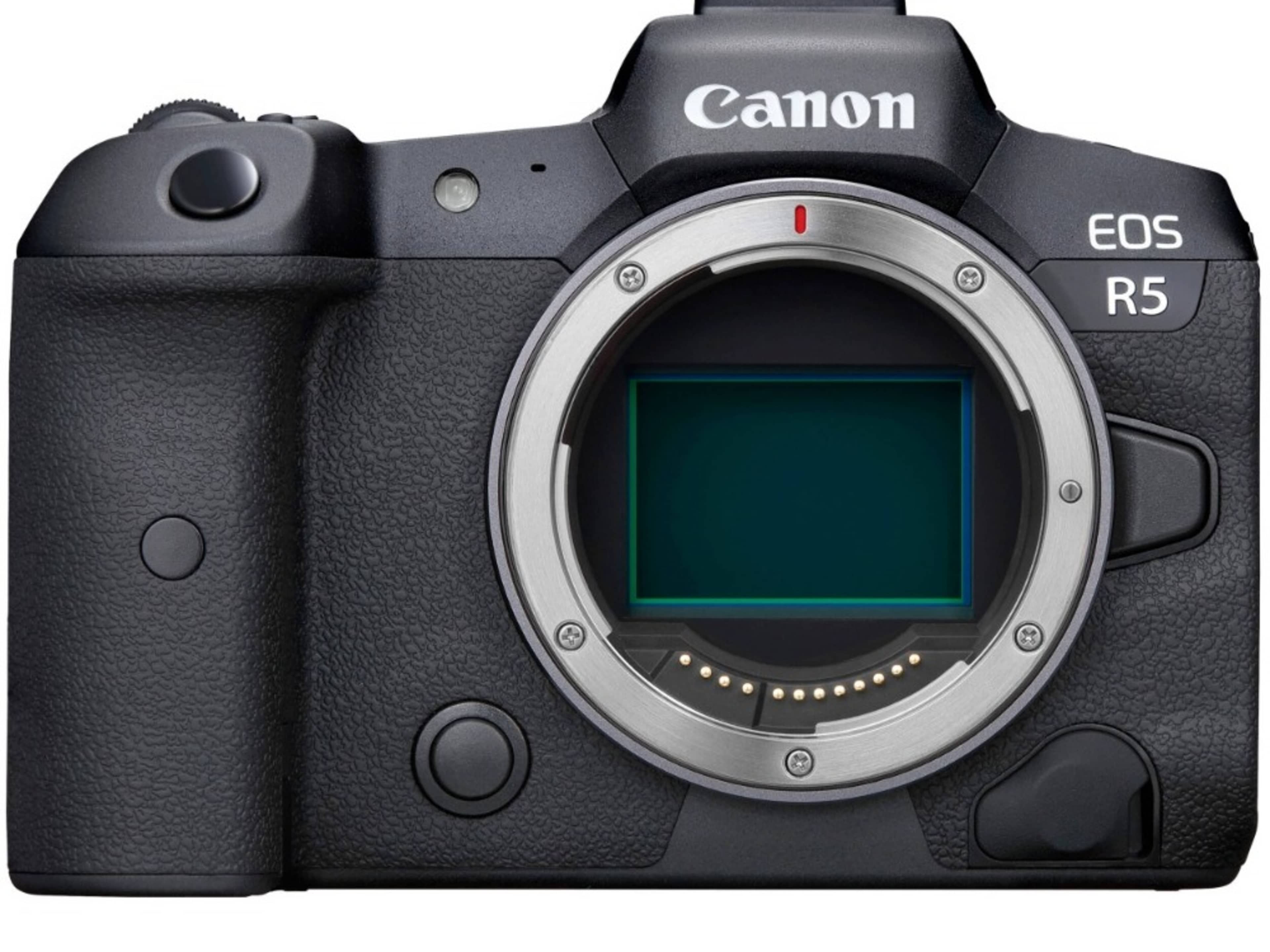 Canon EOS R5 (RENTAL)