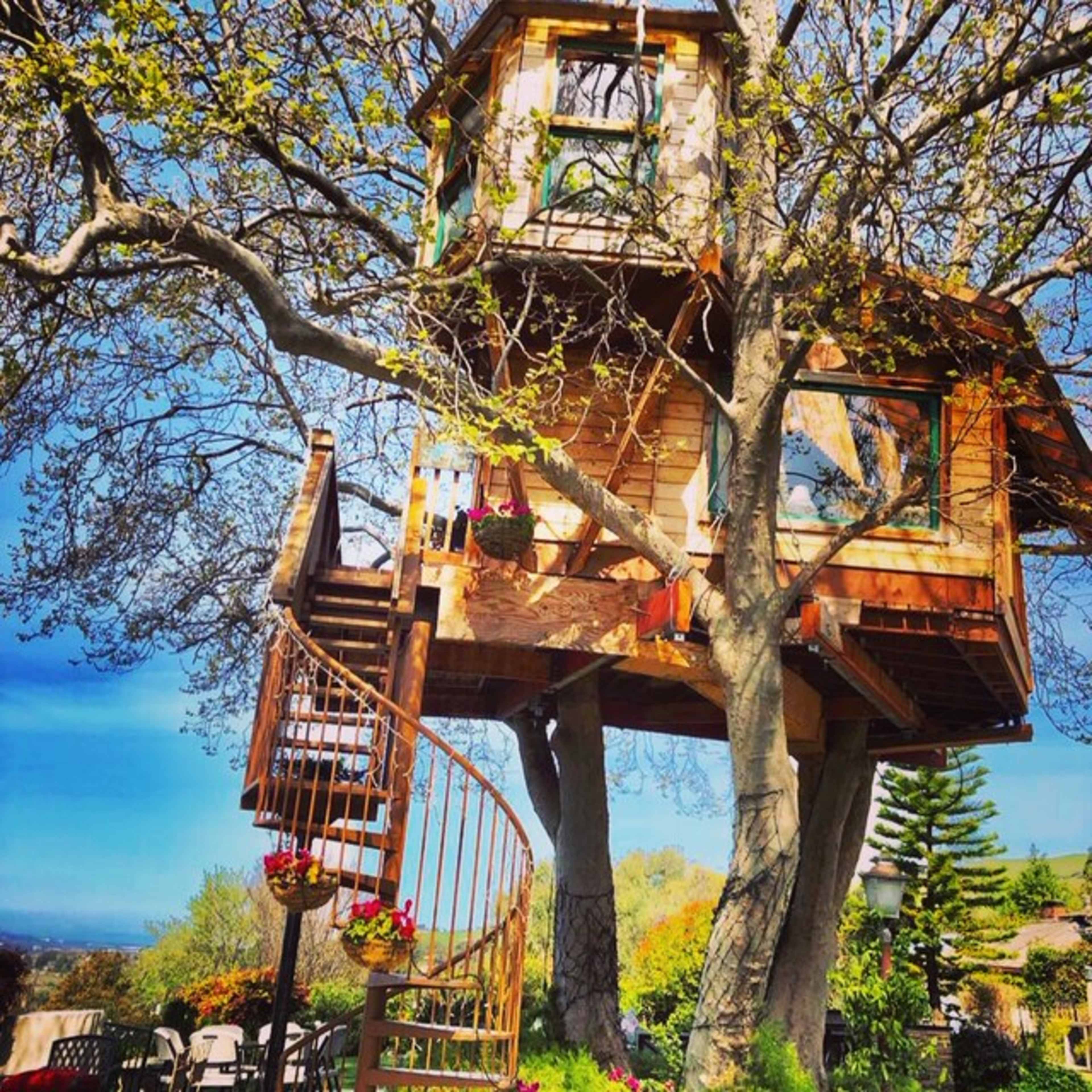 A wooden treehouse with large windows and a spiral staircase is built into a tree, surrounded by greenery and outdoor seating.