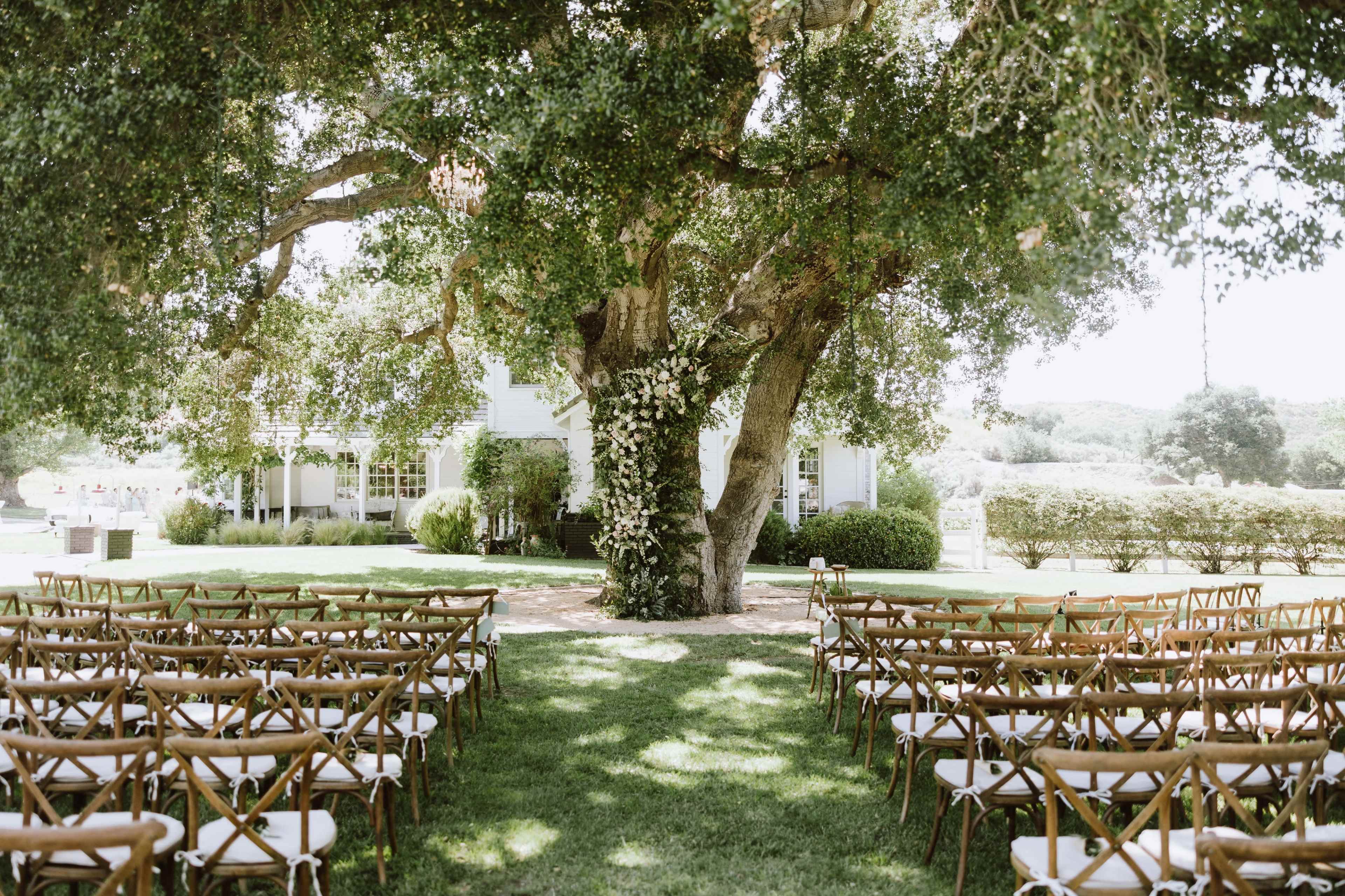 The scene features a wedding ceremony setup with rows of wooden chairs arranged under a large tree, facing a decorated area in front of a white building.