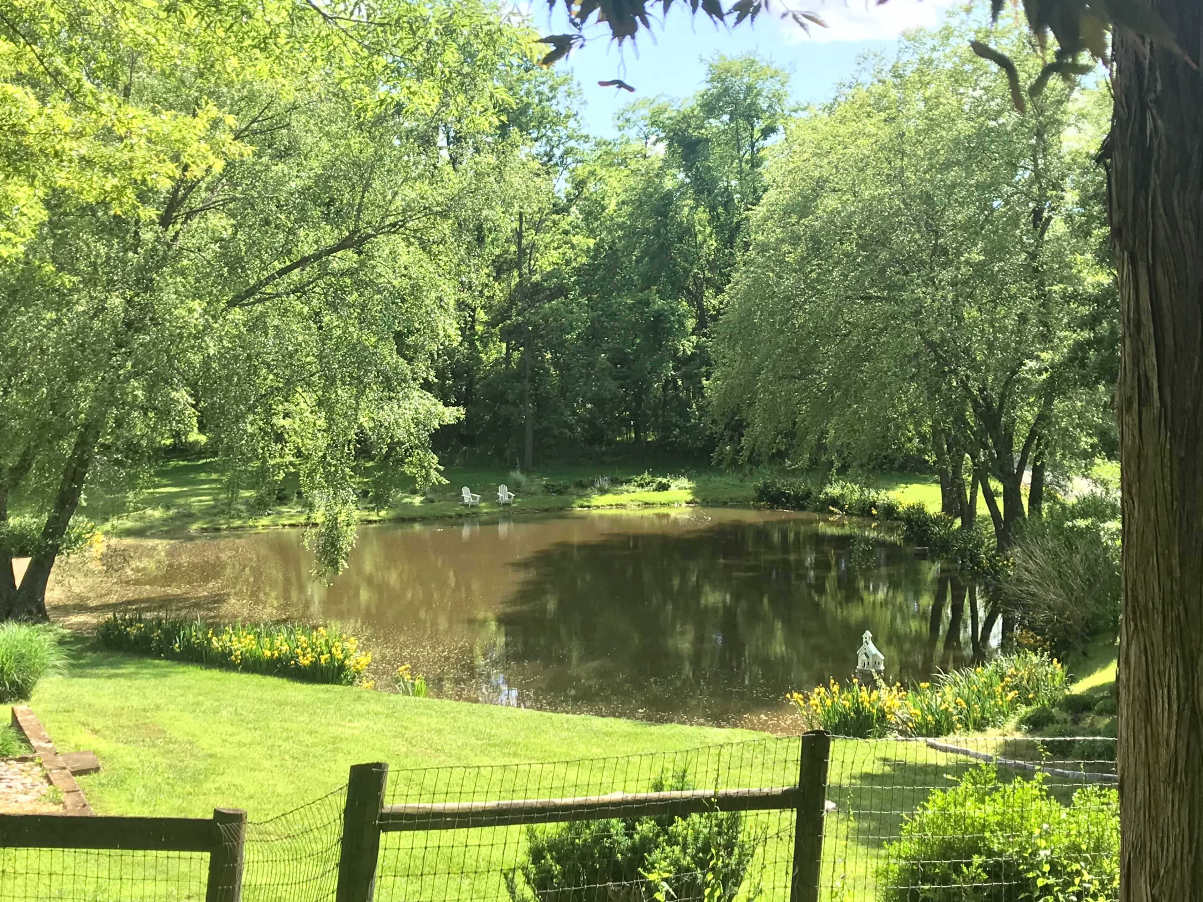 The image shows a pond surrounded by lush greenery and flower beds, with a wooden fence in the foreground.