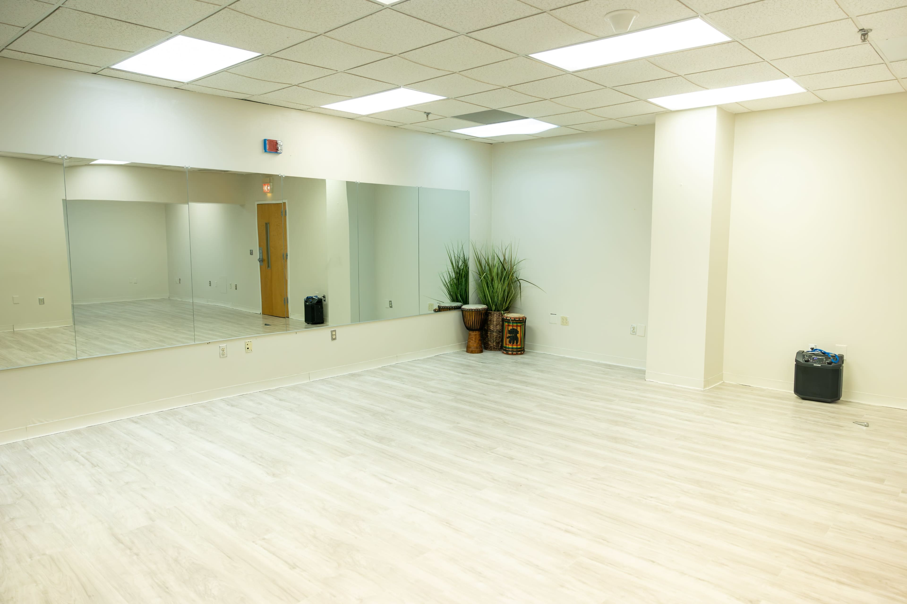 The image shows a spacious, empty room with white walls, a large mirror on one side, and a potted plant in the corner.