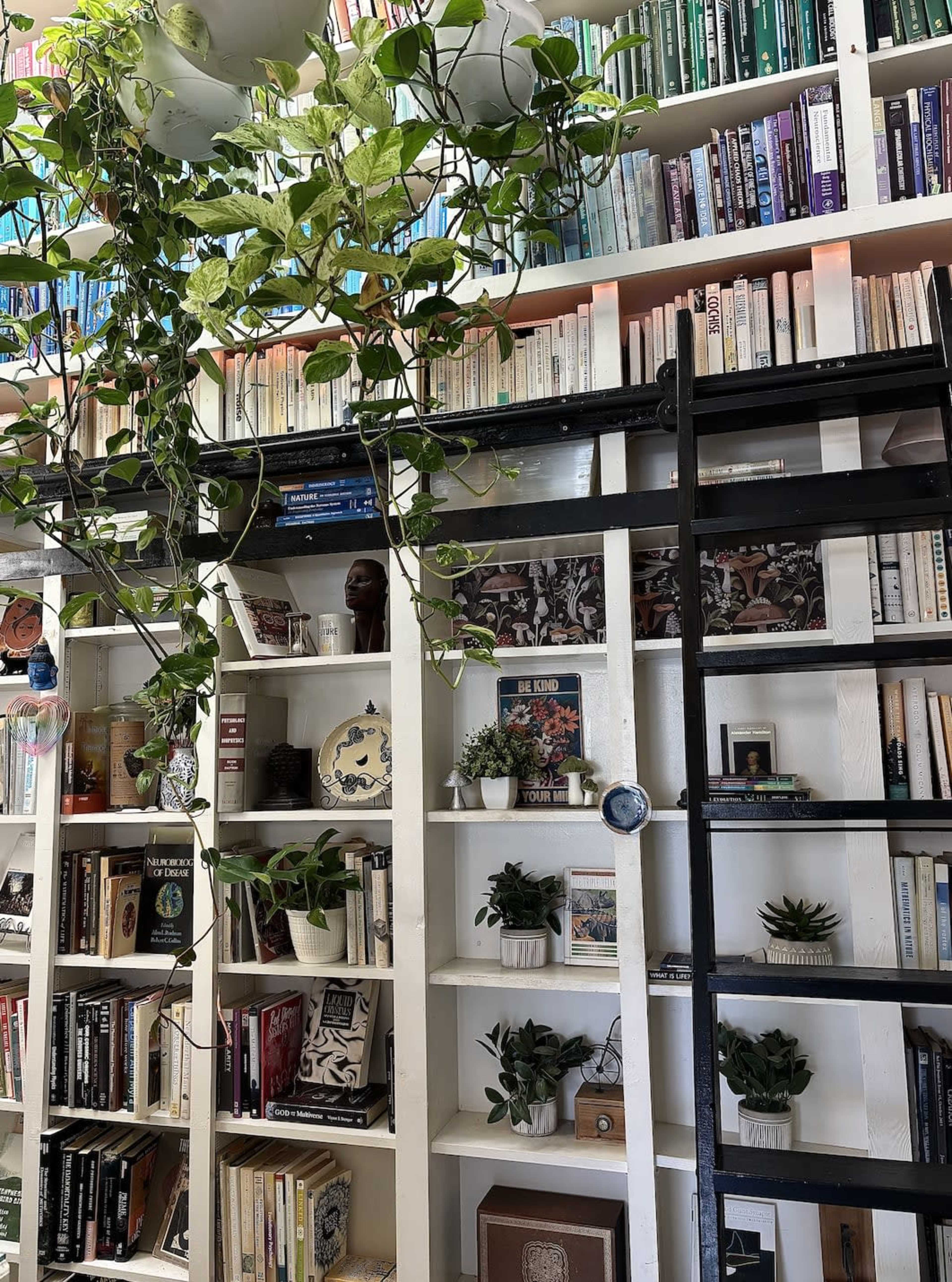 A home library features white shelves filled with books, decorative items, and plants, with a ladder leaning against the side.