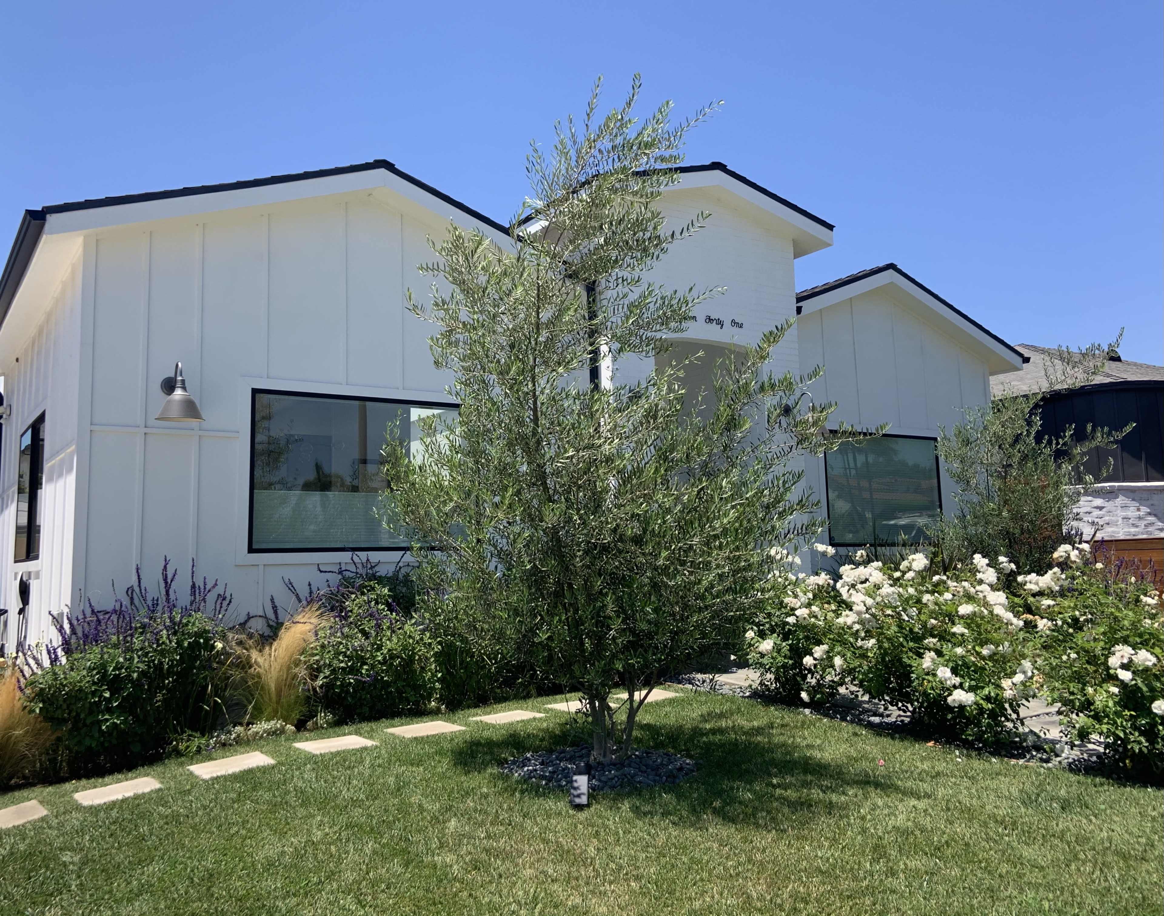 A modern white house features large windows and is surrounded by landscaped greenery, including a small tree and flowering bushes.