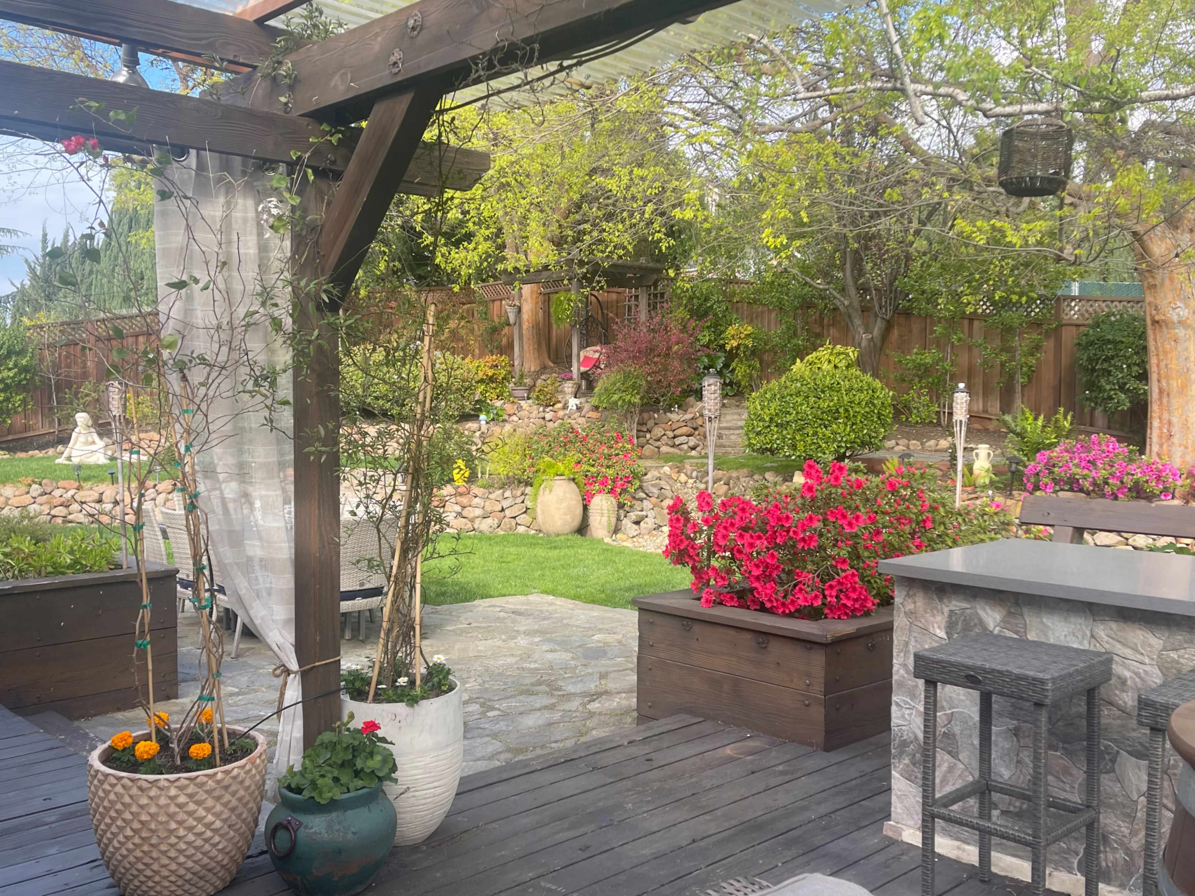 Charming Garden Oasis with Jacuzzi, Outdoor Kitchen & Event Space Image in Concord, Concord, CA