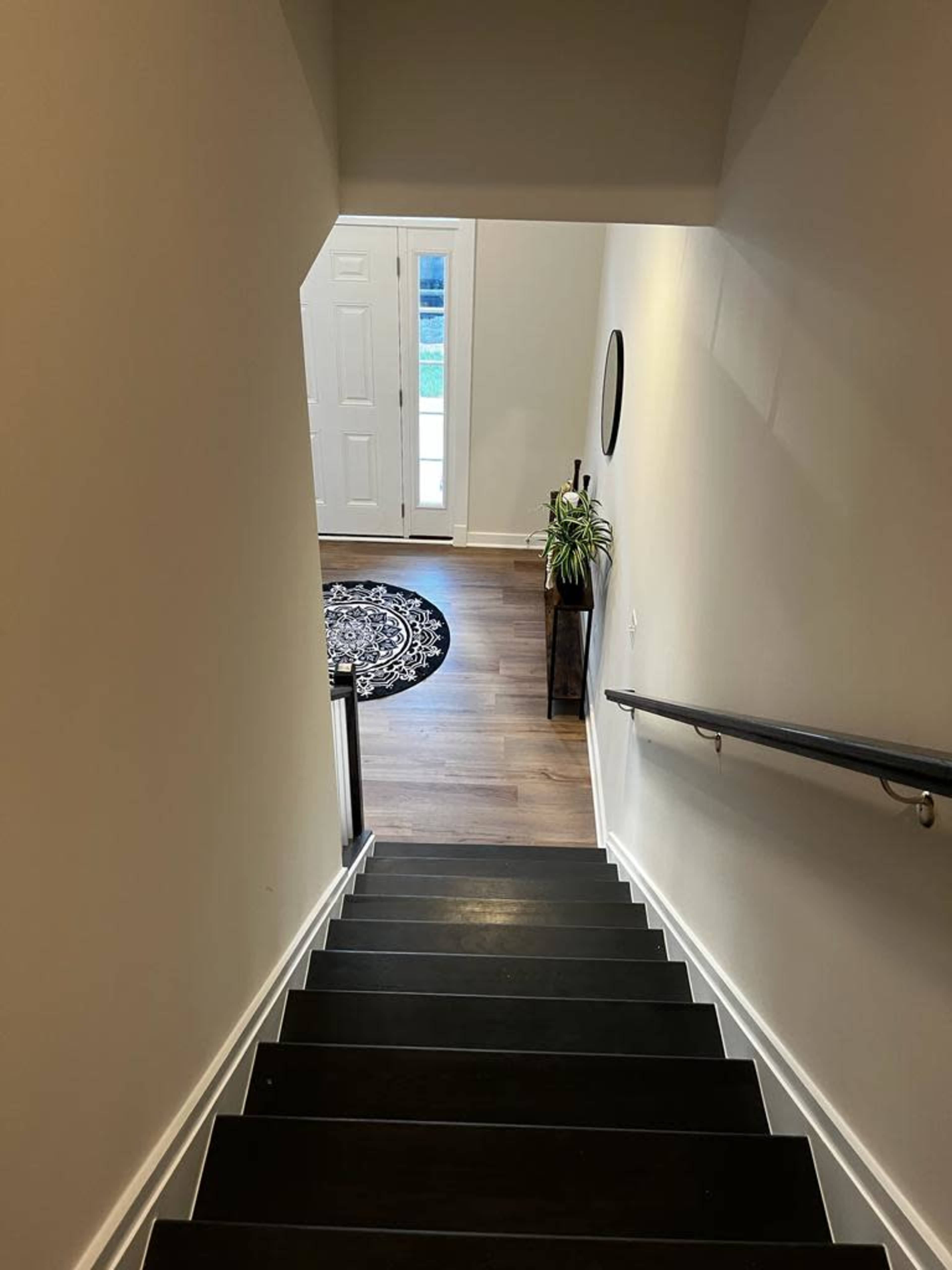 A staircase leads down to a doorway and a room with a circular rug and a potted plant.