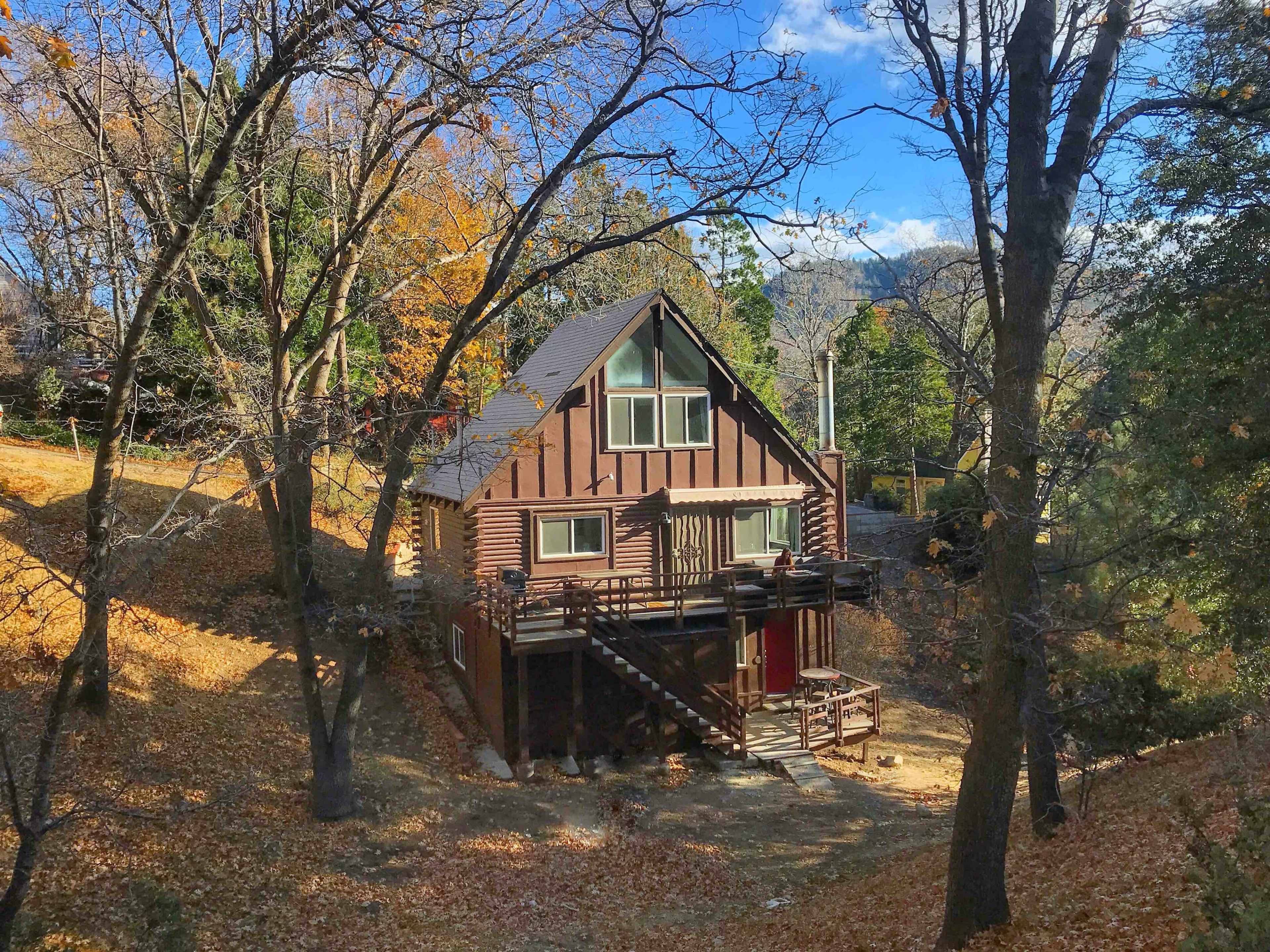 A wooden cabin with a slanted roof is situated among trees and fallen leaves in a wooded area.