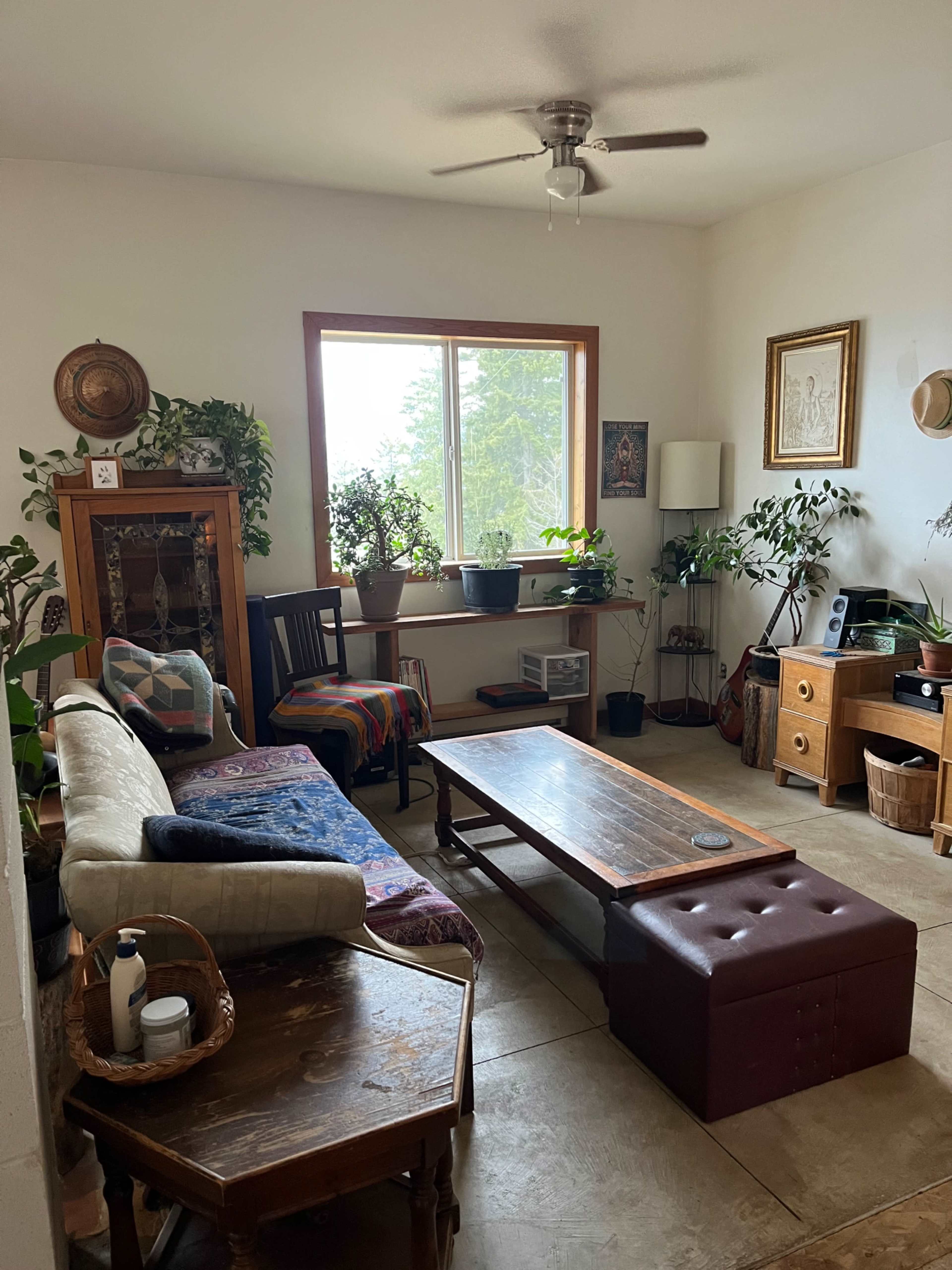 The image shows a cozy living room with a variety of plants, a wooden coffee table, and a sofa arranged around a window.