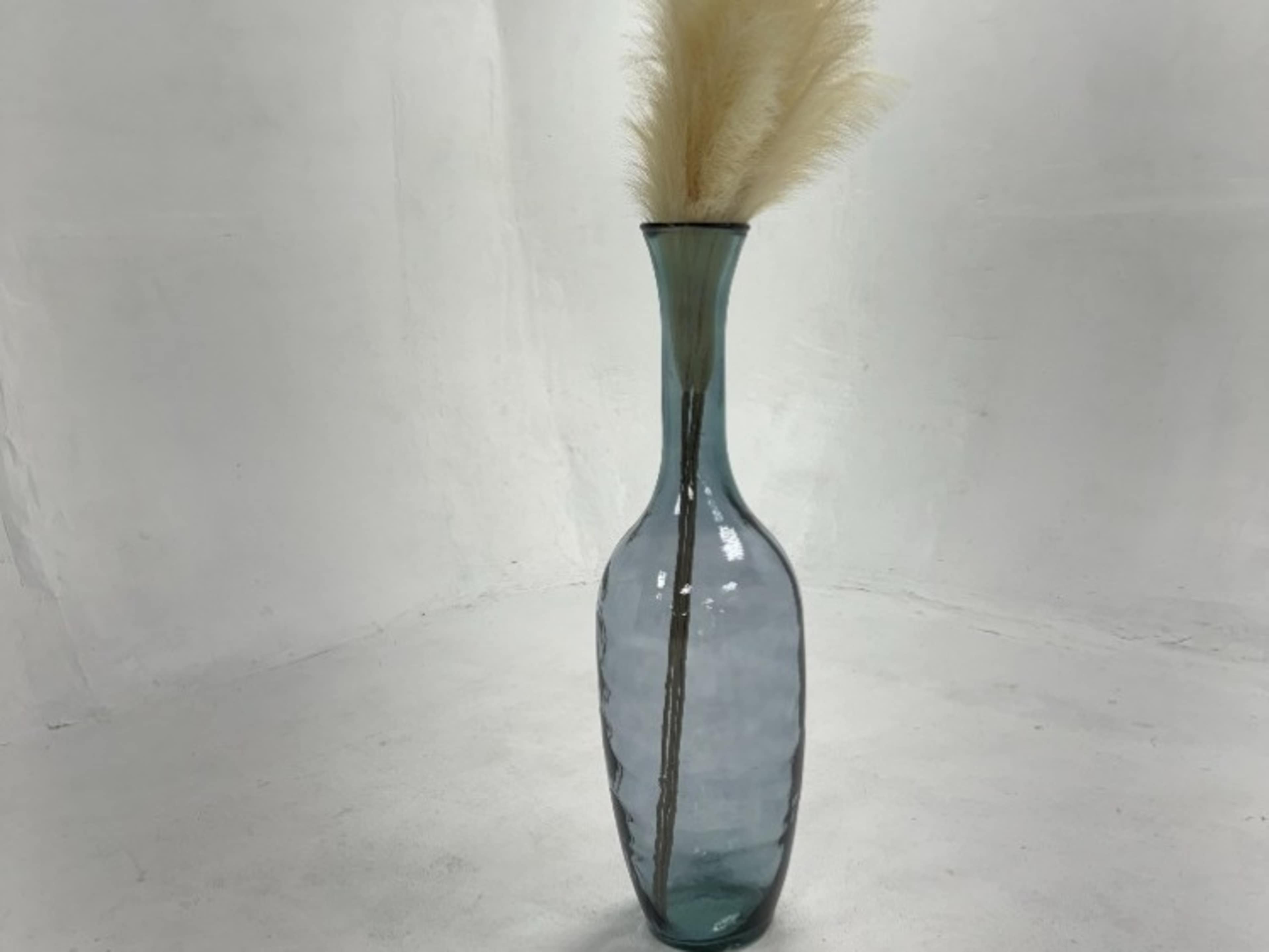 Exotic Plant/Vase