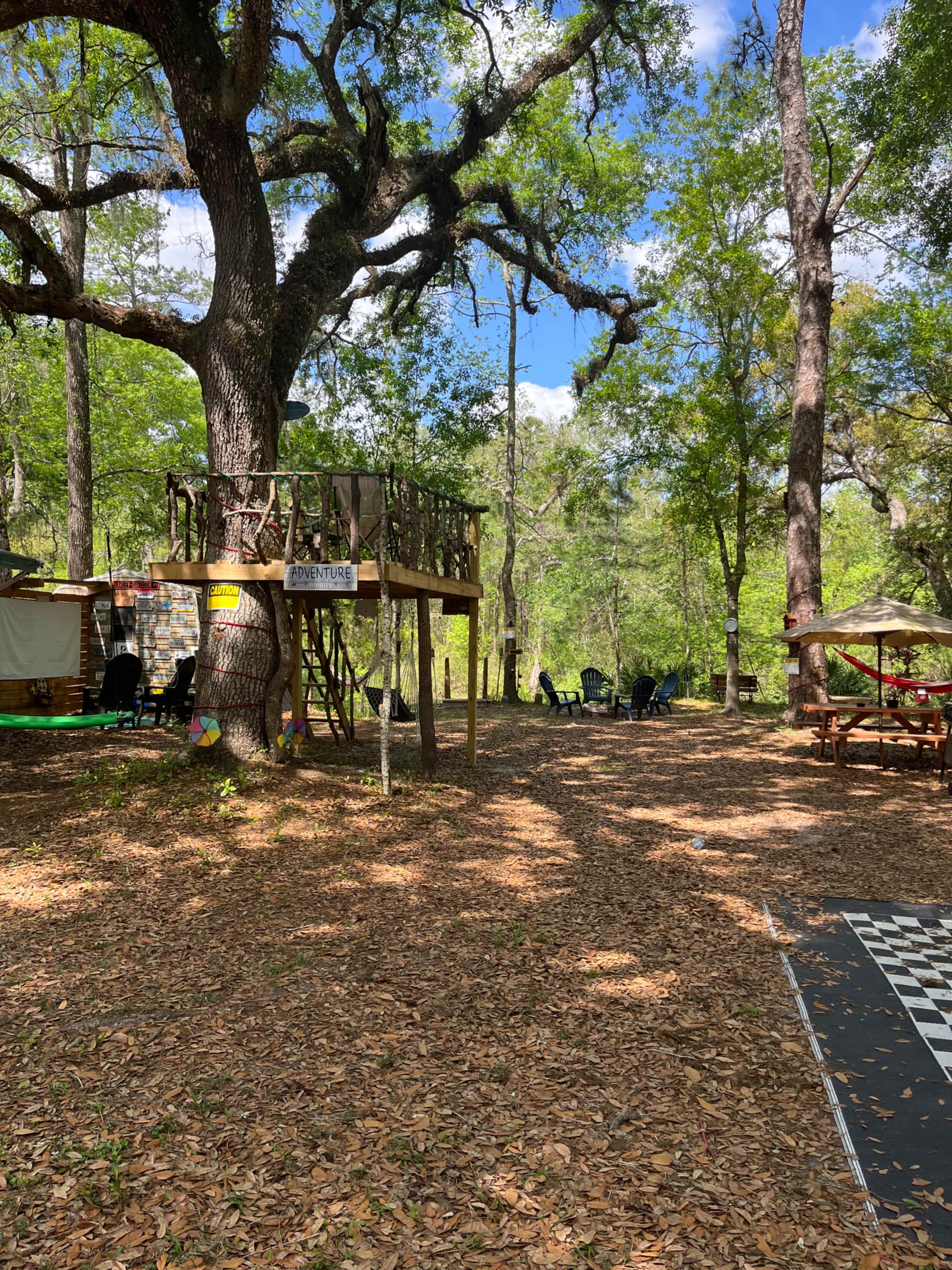 A wooded area with a treehouse on stilts, surrounded by chairs and picnic tables on a leaf-covered ground.
