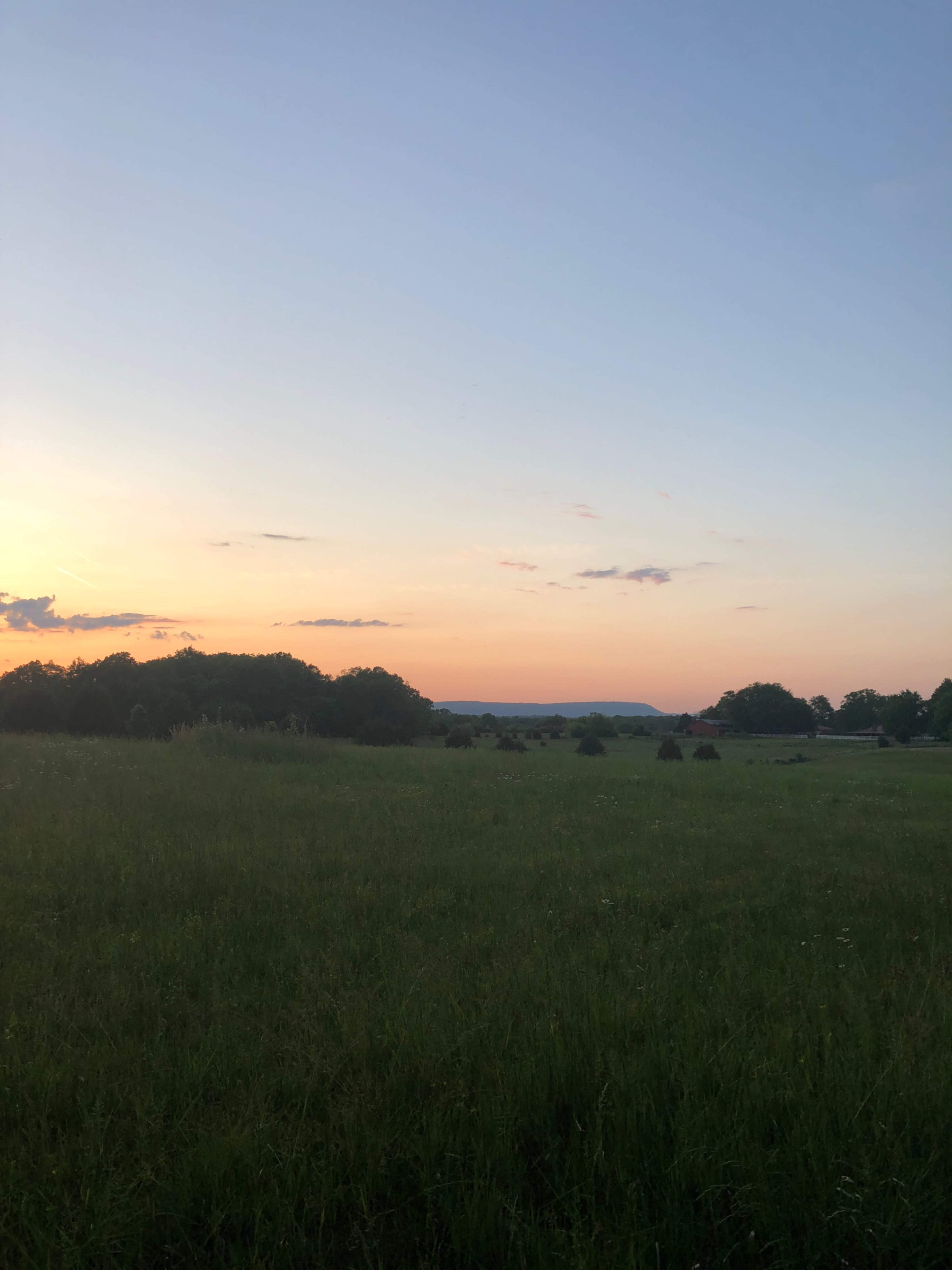 A vast, grassy field stretches toward a colorful sunset, framed by distant trees and a clear sky.
