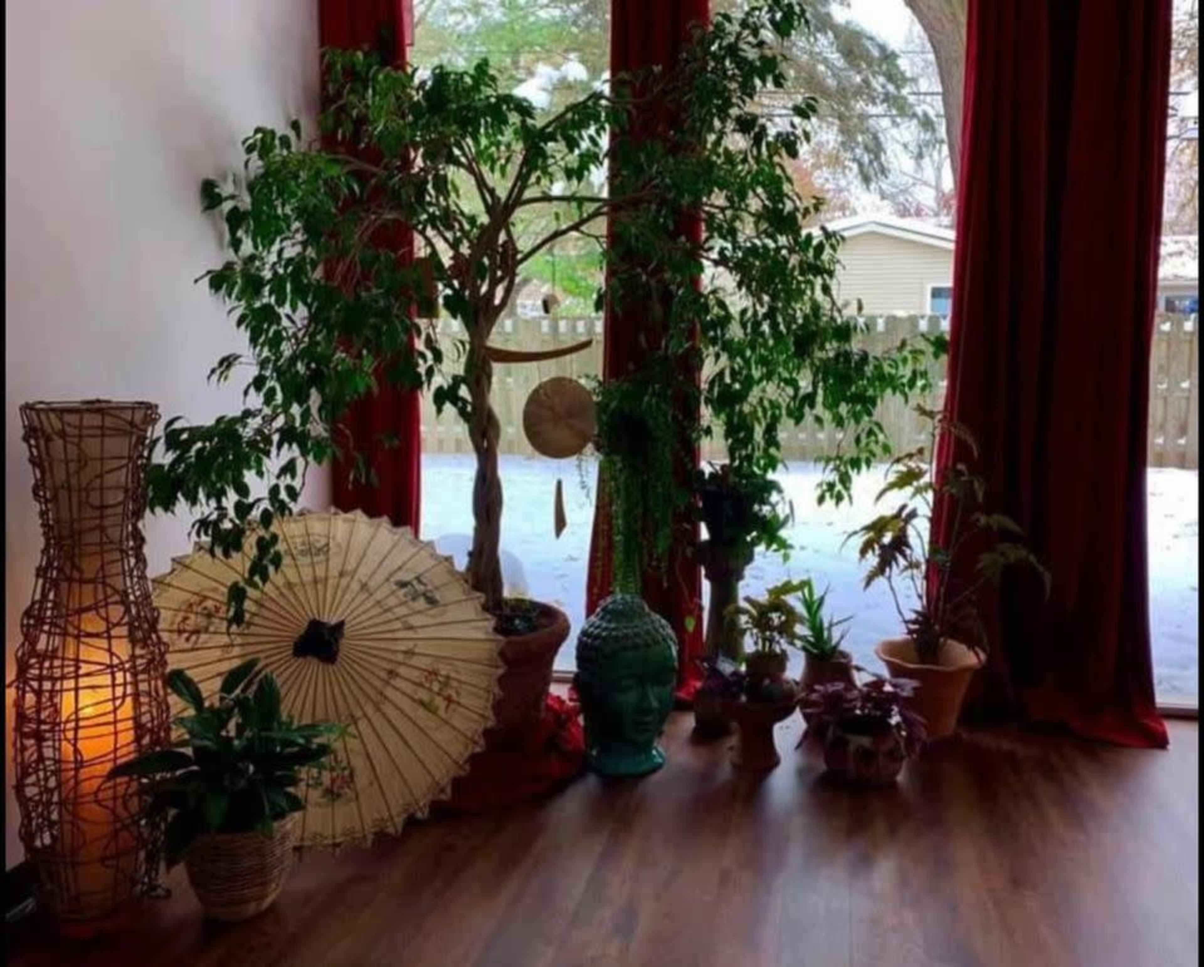A corner of a room adorned with various plants, a large decorative tree, a standing buddha statue, an umbrella, and a warm light source, framed by red curtains and large windows.