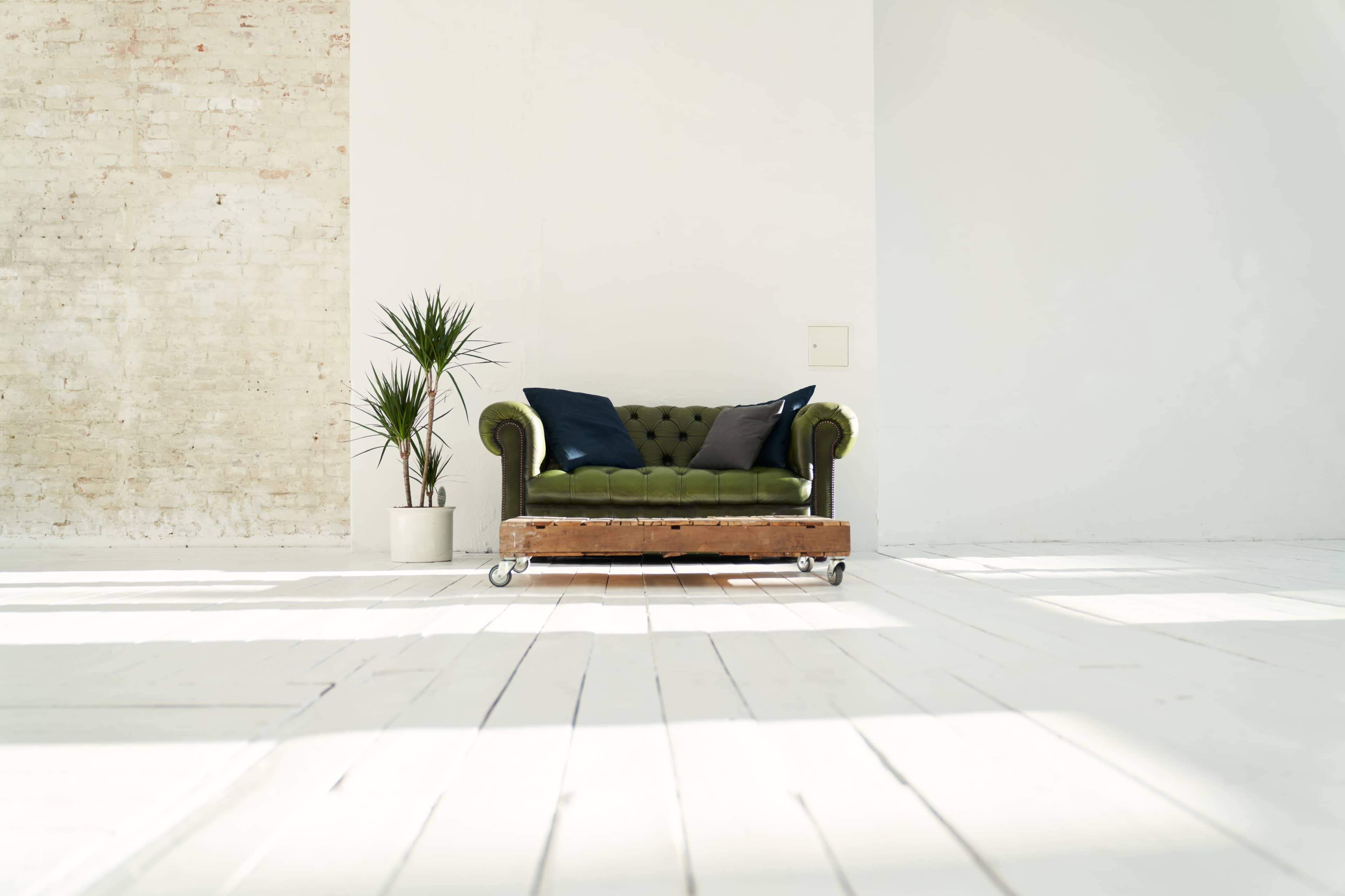 A green chesterfield sofa sits on a wooden floor in a bright, minimalistic room with a potted plant nearby.