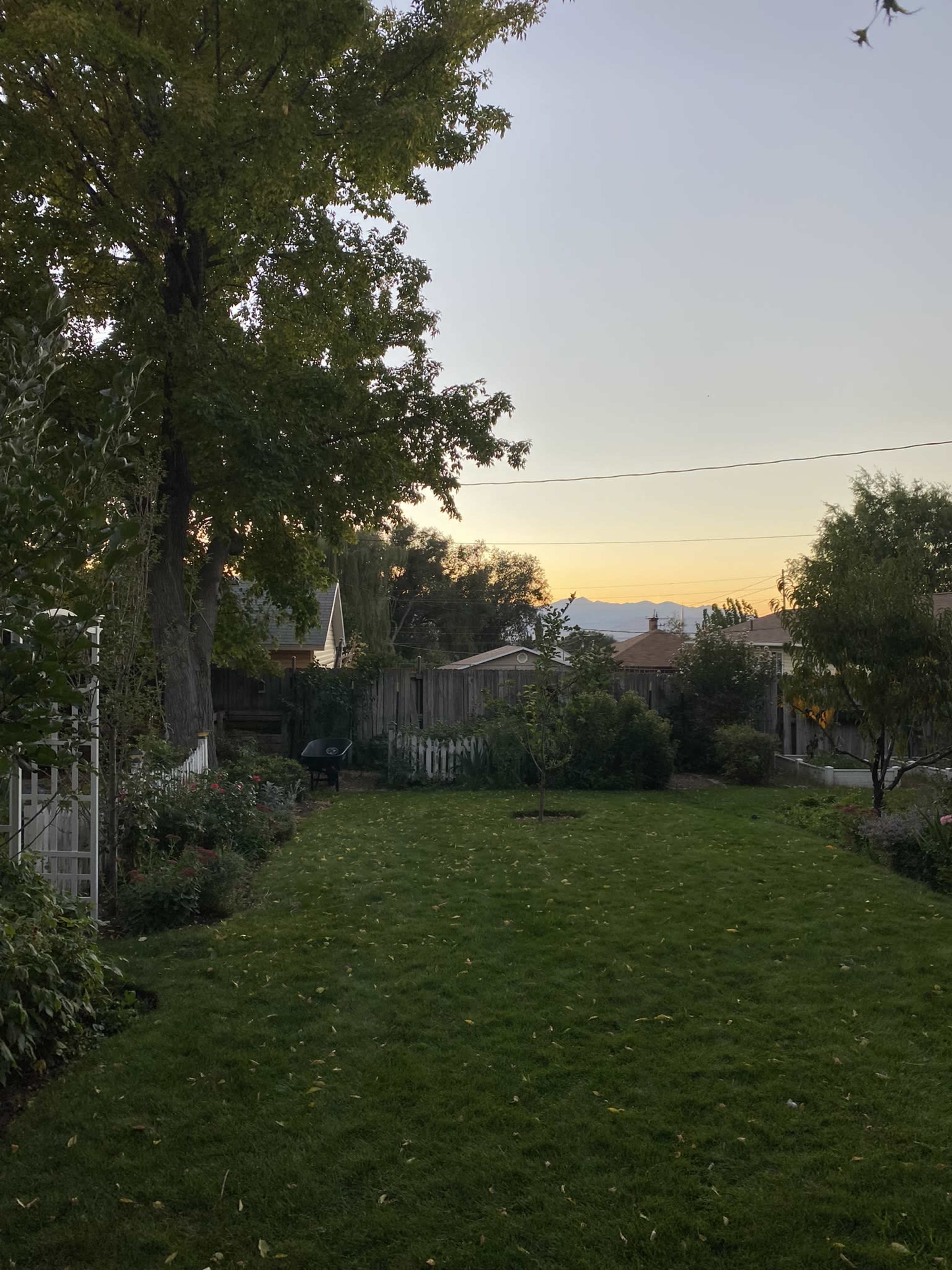 A grassy backyard with trees and a fence, framed by houses in the distance and mountains under a twilight sky.