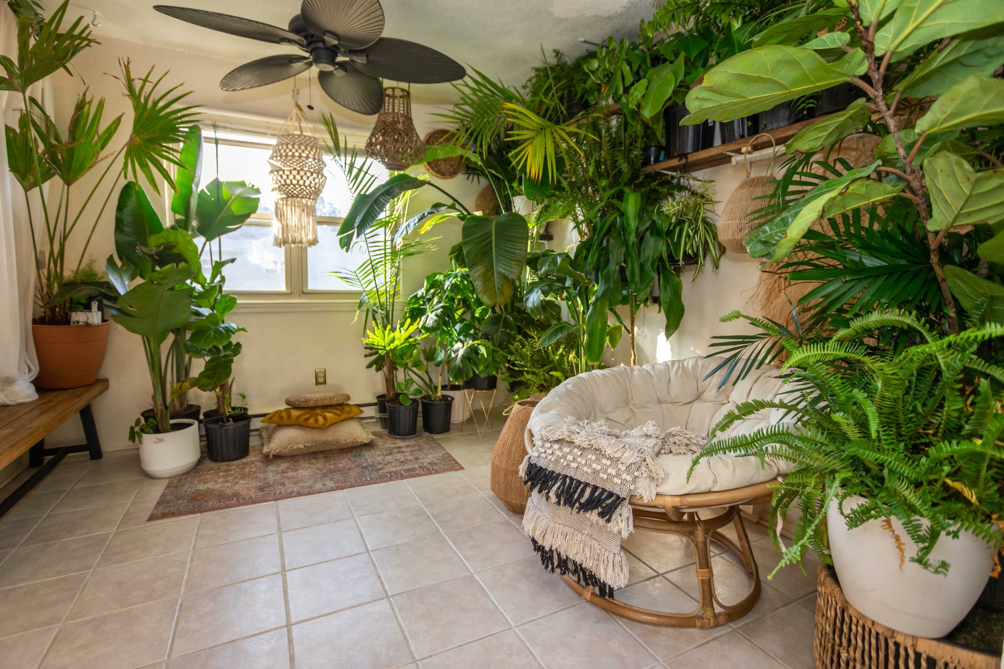 A sunlit indoor space filled with various potted plants, featuring a cozy chair and a decorative rug on tiled flooring.