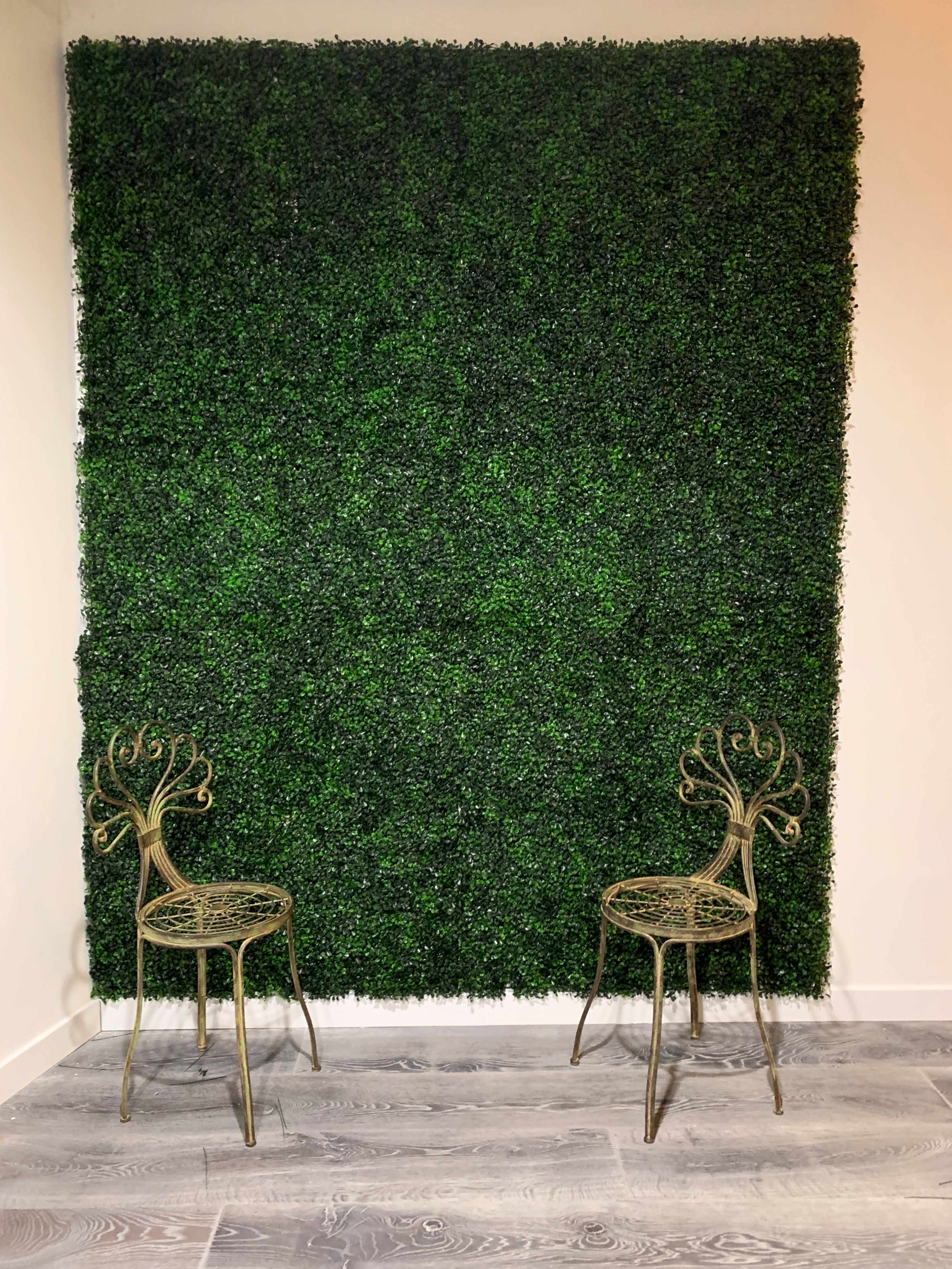 Two ornate metal chairs are placed on a wooden floor in front of a lush green artificial hedge wall.