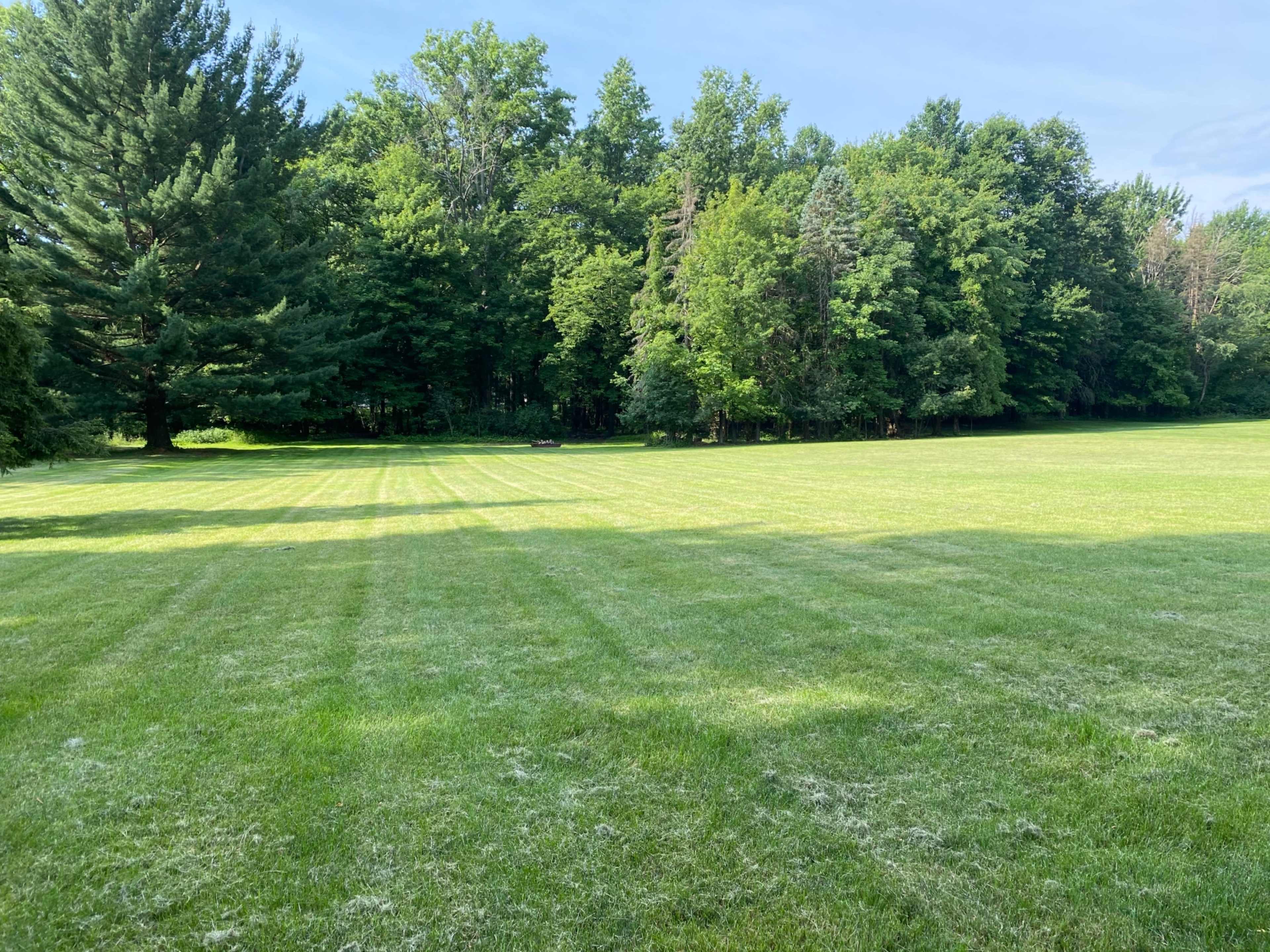 A wide grassy area bordered by a dense row of trees.