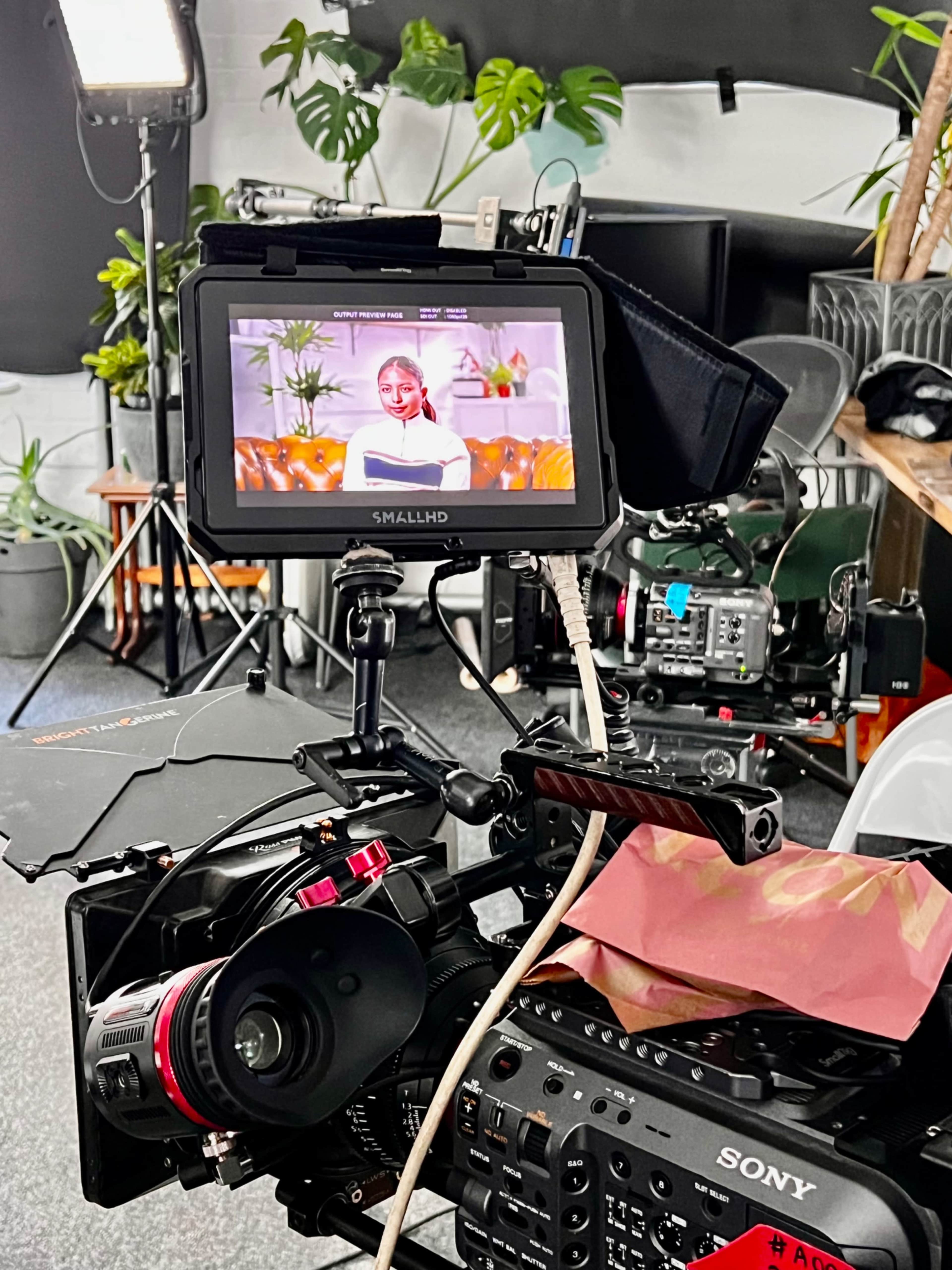 A camera setup with a monitor displaying a person sitting on a couch, surrounded by plants and studio equipment.
