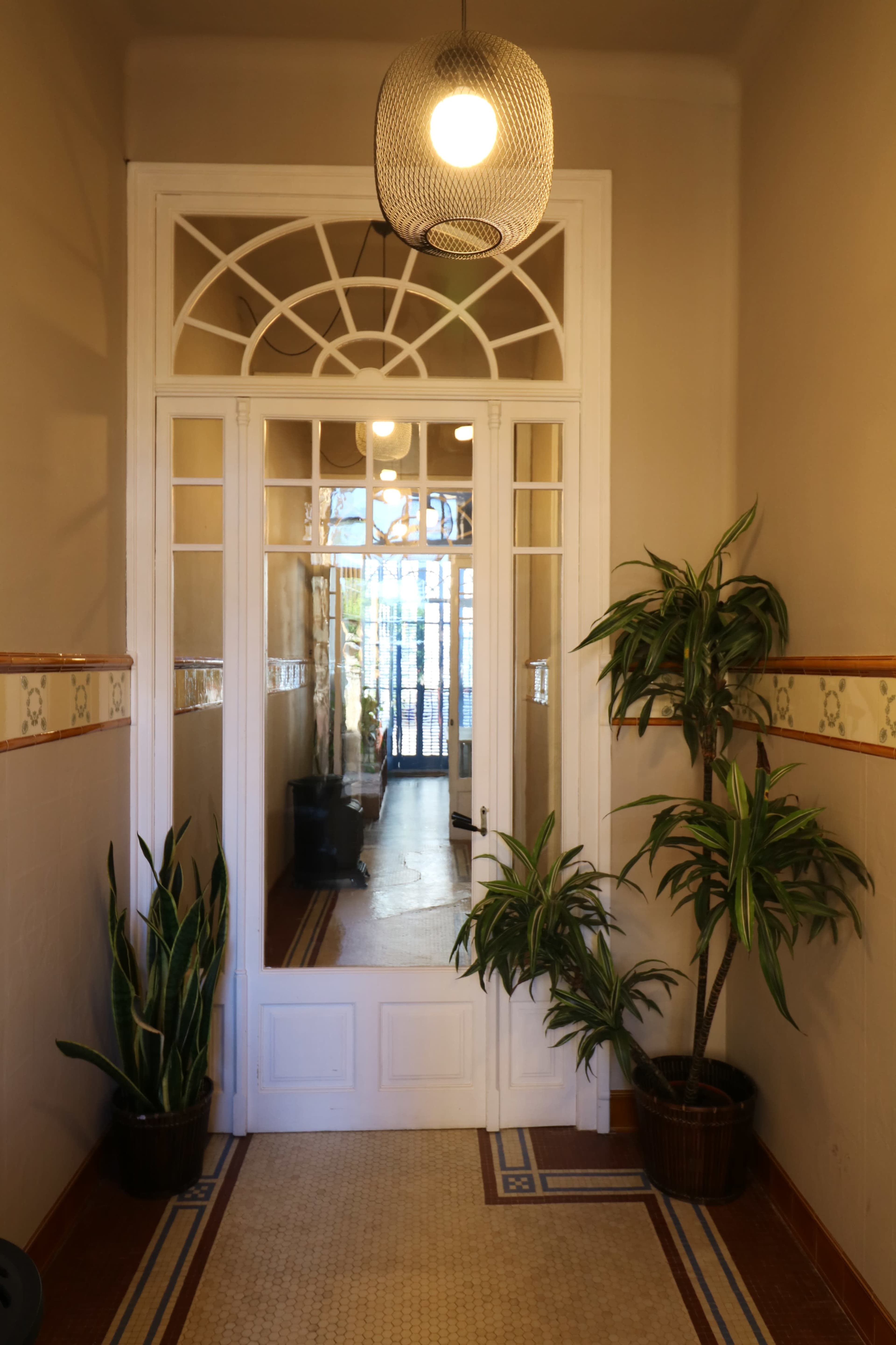 A hallway features a white-framed glass door flanked by potted plants, with light streaming from a large window at the end.