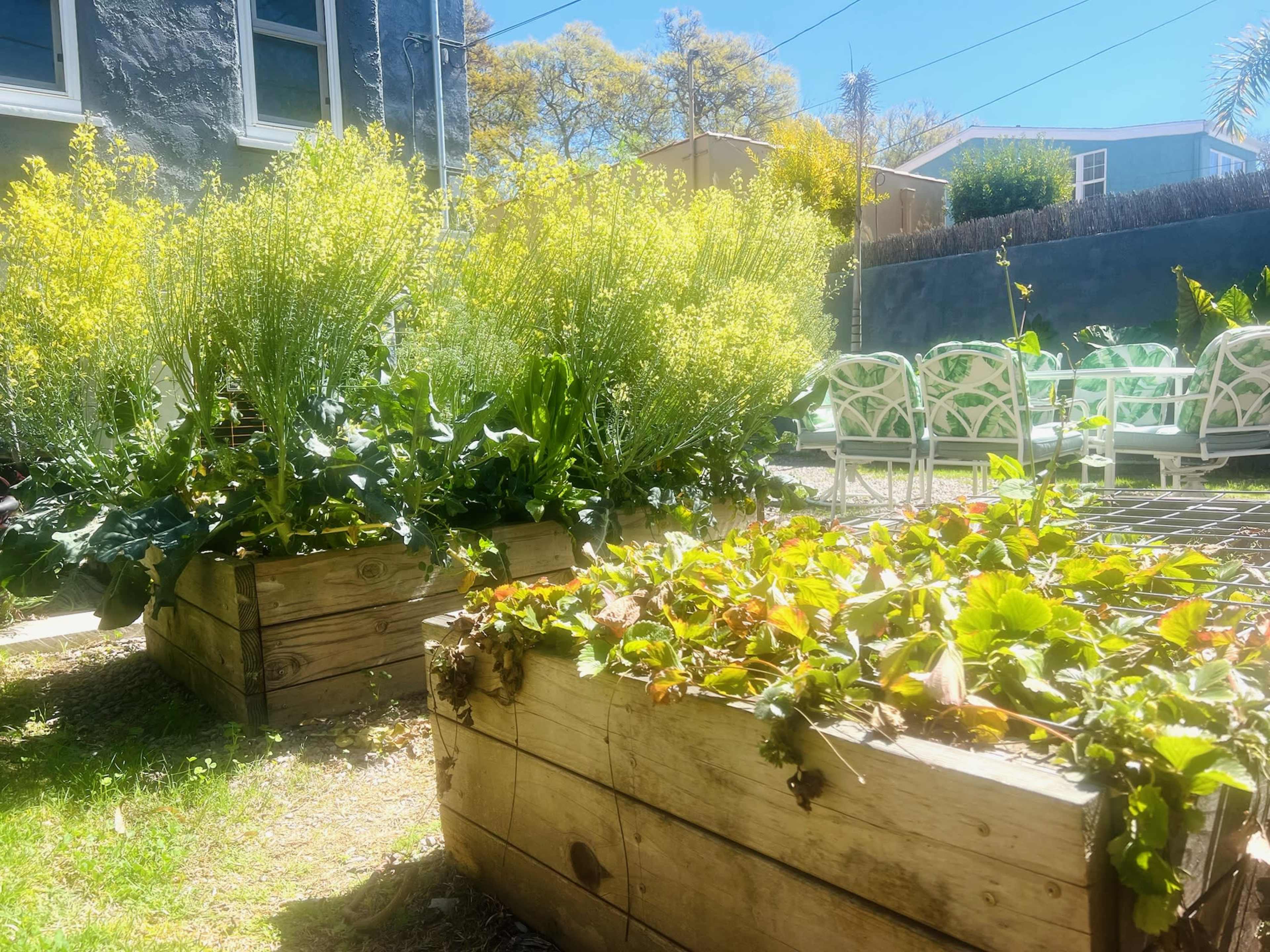 Historic Leimert Park Home with Garden Image in Leimert Park, Los Angeles, CA