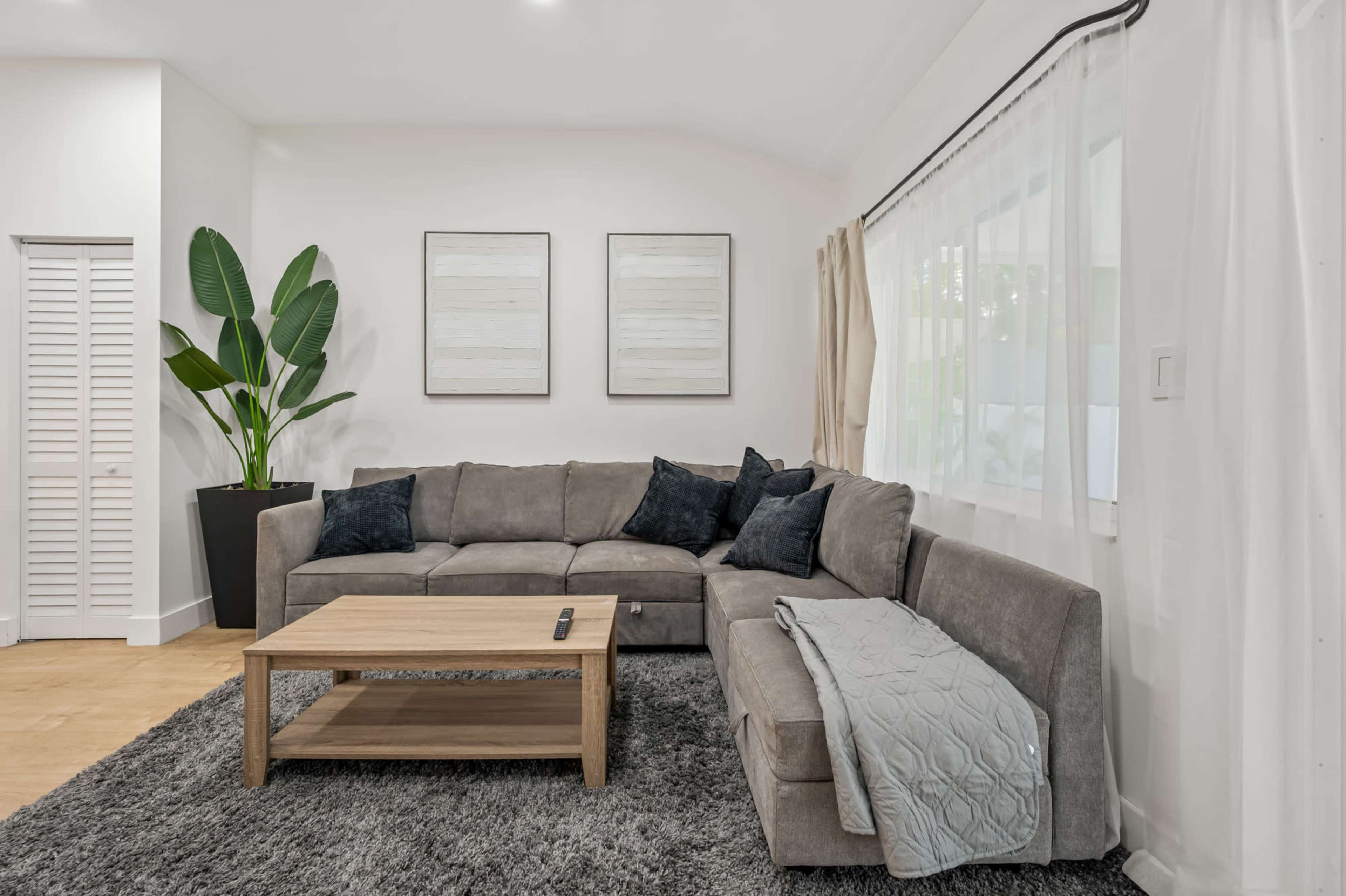 The image shows a modern living room featuring a grey sectional sofa, a wooden coffee table, two framed artworks on the wall, and a large indoor plant next to a window.