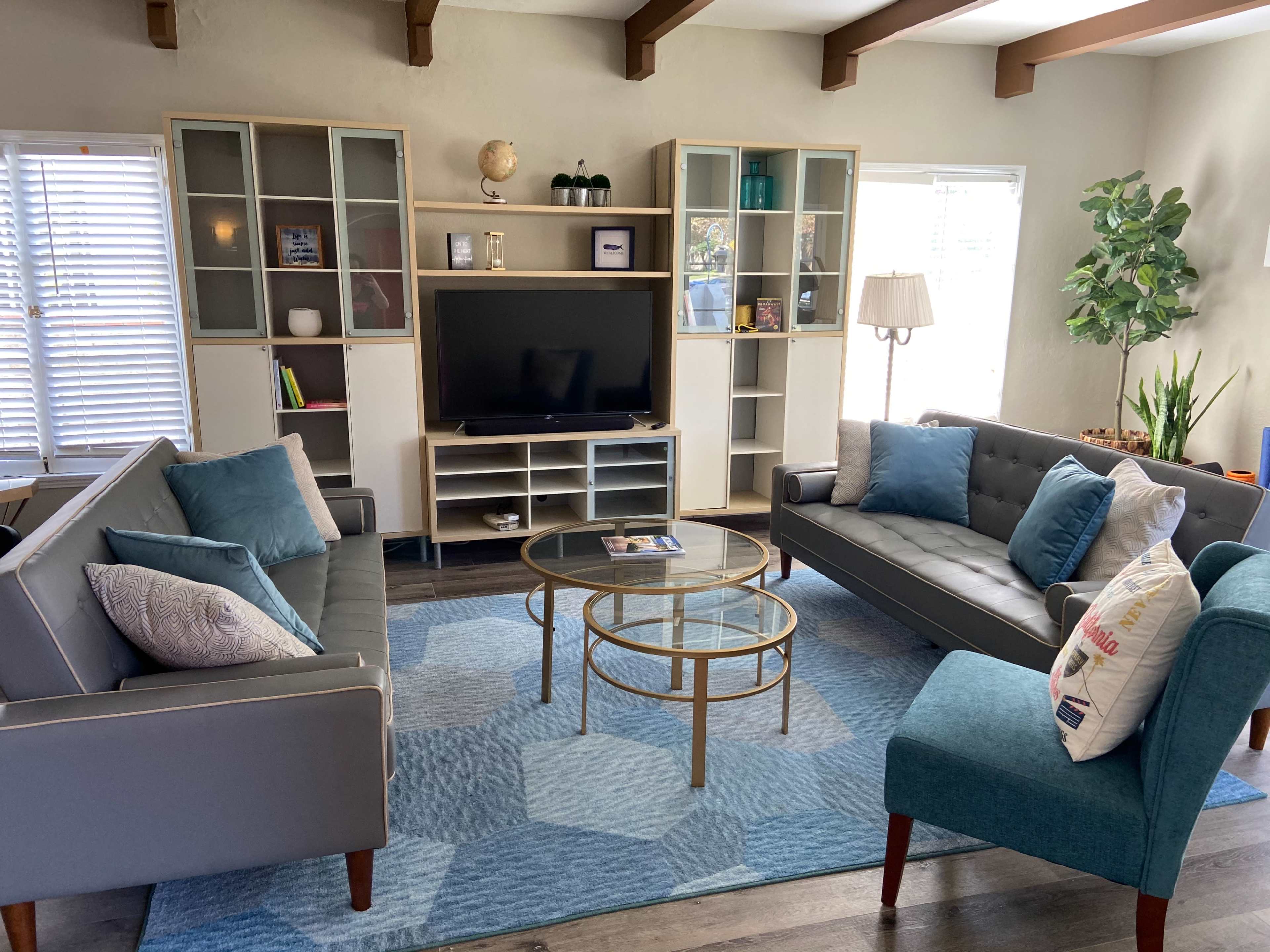 The living room features two gray sofas, a teal accent chair, a coffee table, and a large television, all arranged around a light blue rug in front of a shelving unit.