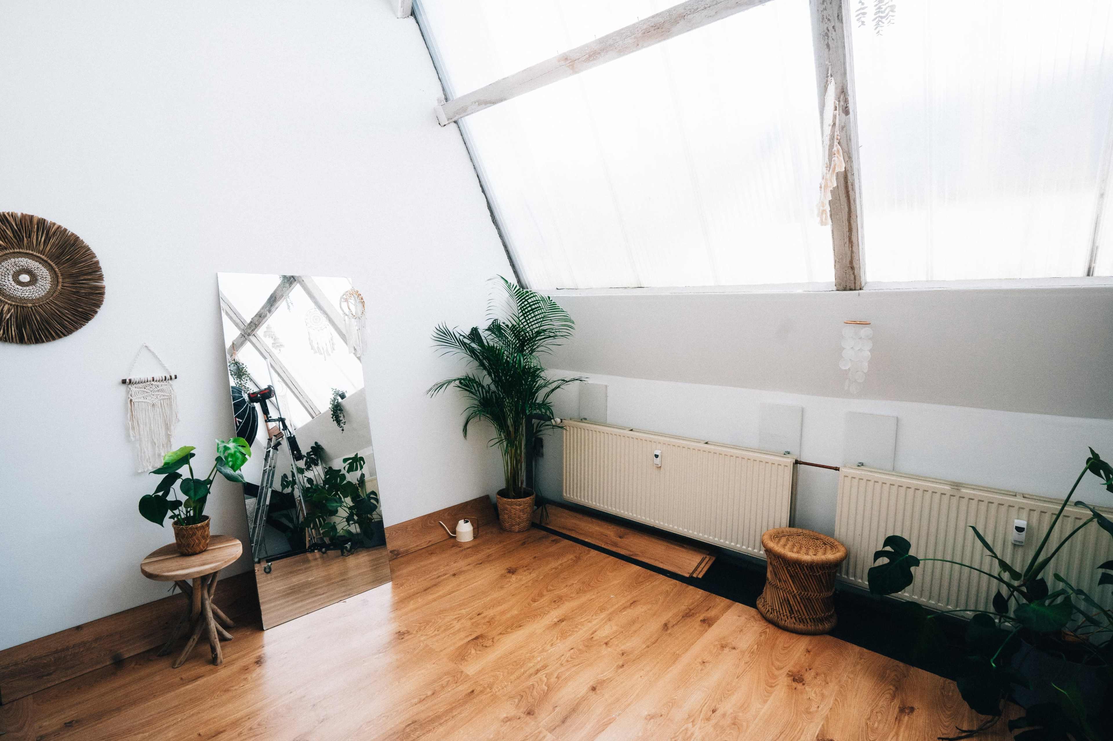 The room features a large mirror, potted plants, and a wooden floor beneath a slanted ceiling with large windows.
