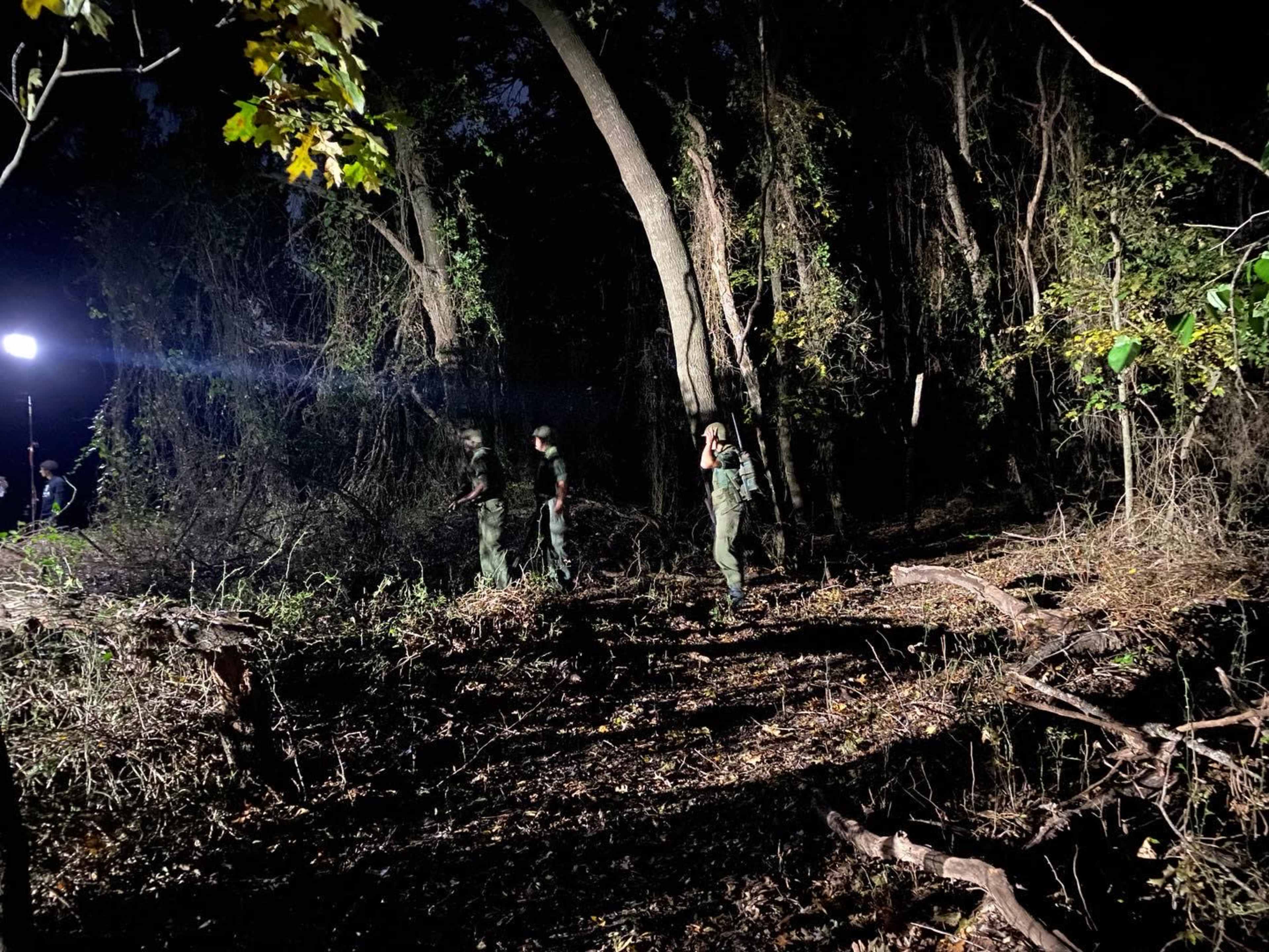 A group of individuals dressed in green uniforms is walking through a dimly lit forest area with scattered trees and underbrush.