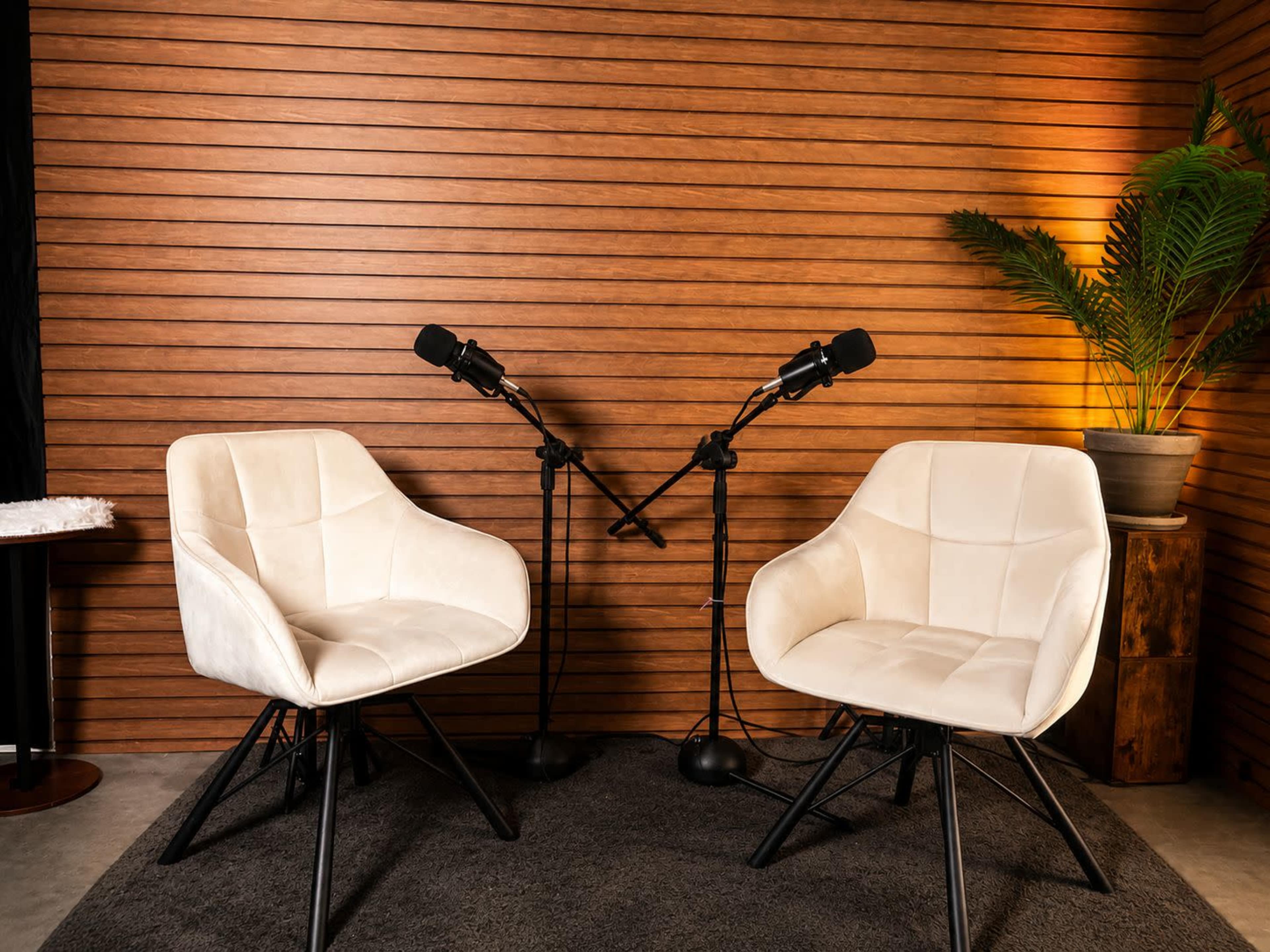 Two white chairs are positioned in front of two microphones mounted on stands, with a wooden slat wall and a potted plant in the background.