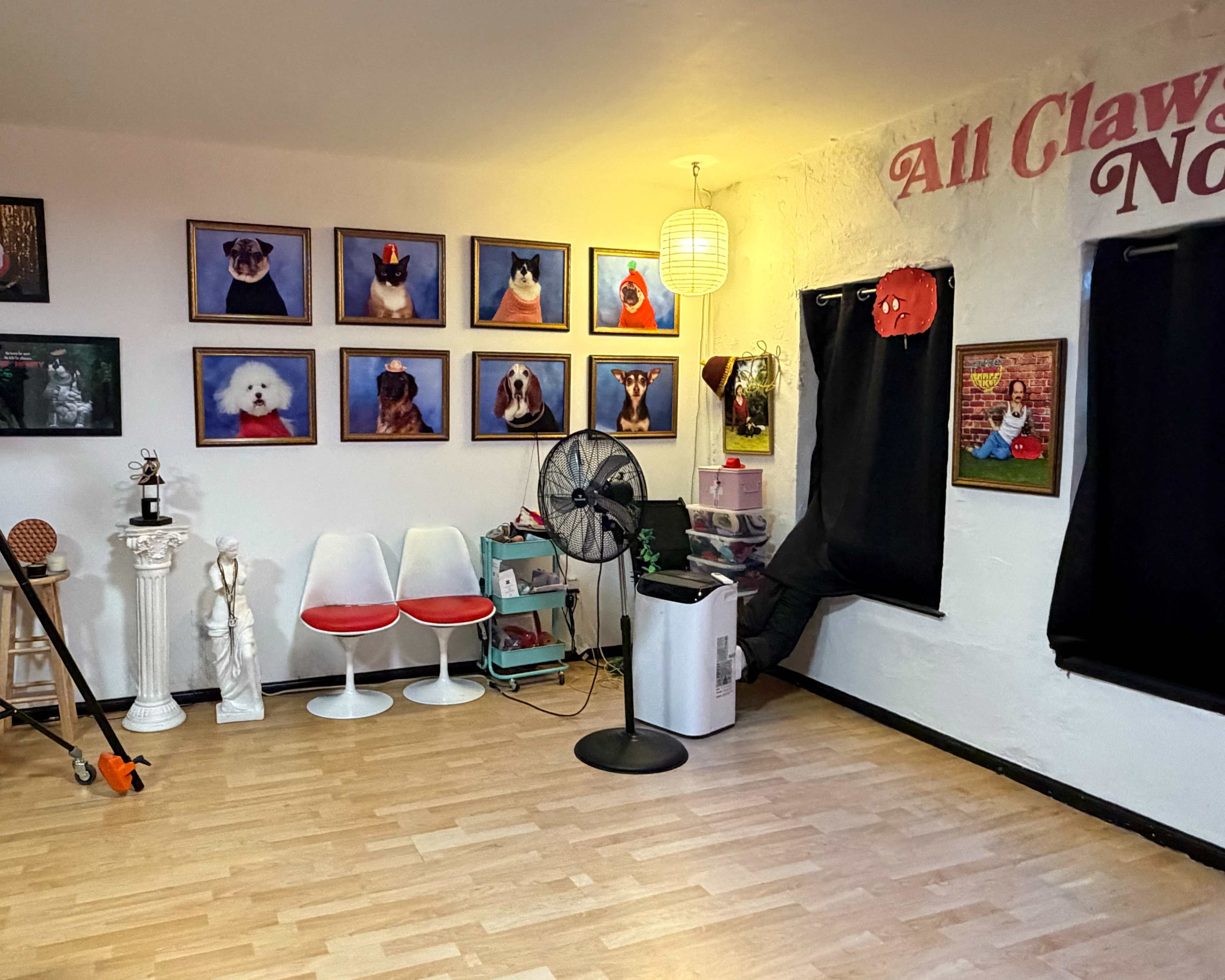 The image shows a brightly lit room with framed portraits of various pets on the walls, a standing fan, and a chair set positioned against one side.