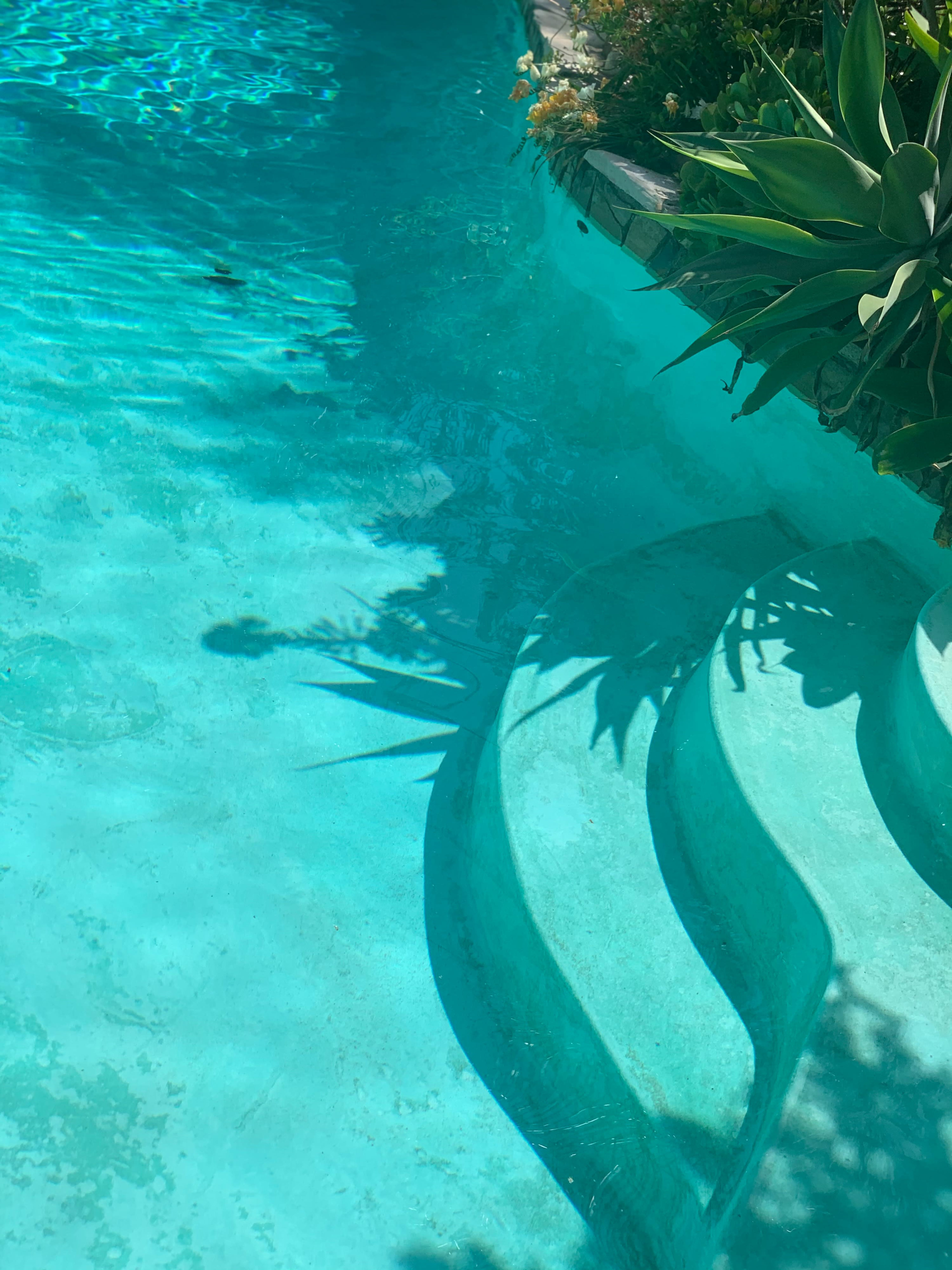 The image shows a clear blue swimming pool with stairs and plant shadows reflected on the water's surface.