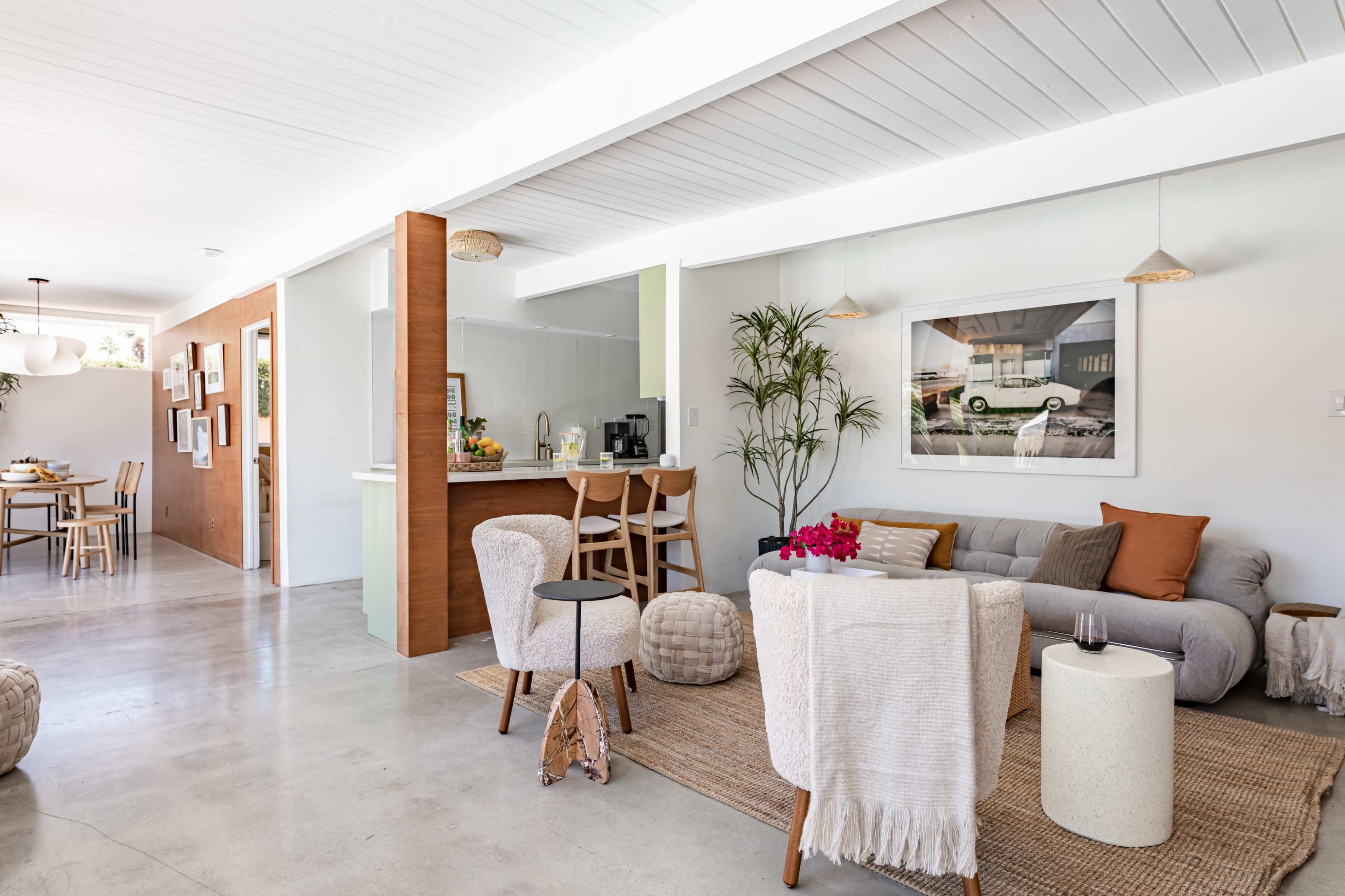 The image shows a modern living space featuring a sitting area with a gray couch, decorative plants, and a bar counter in an open-concept layout.