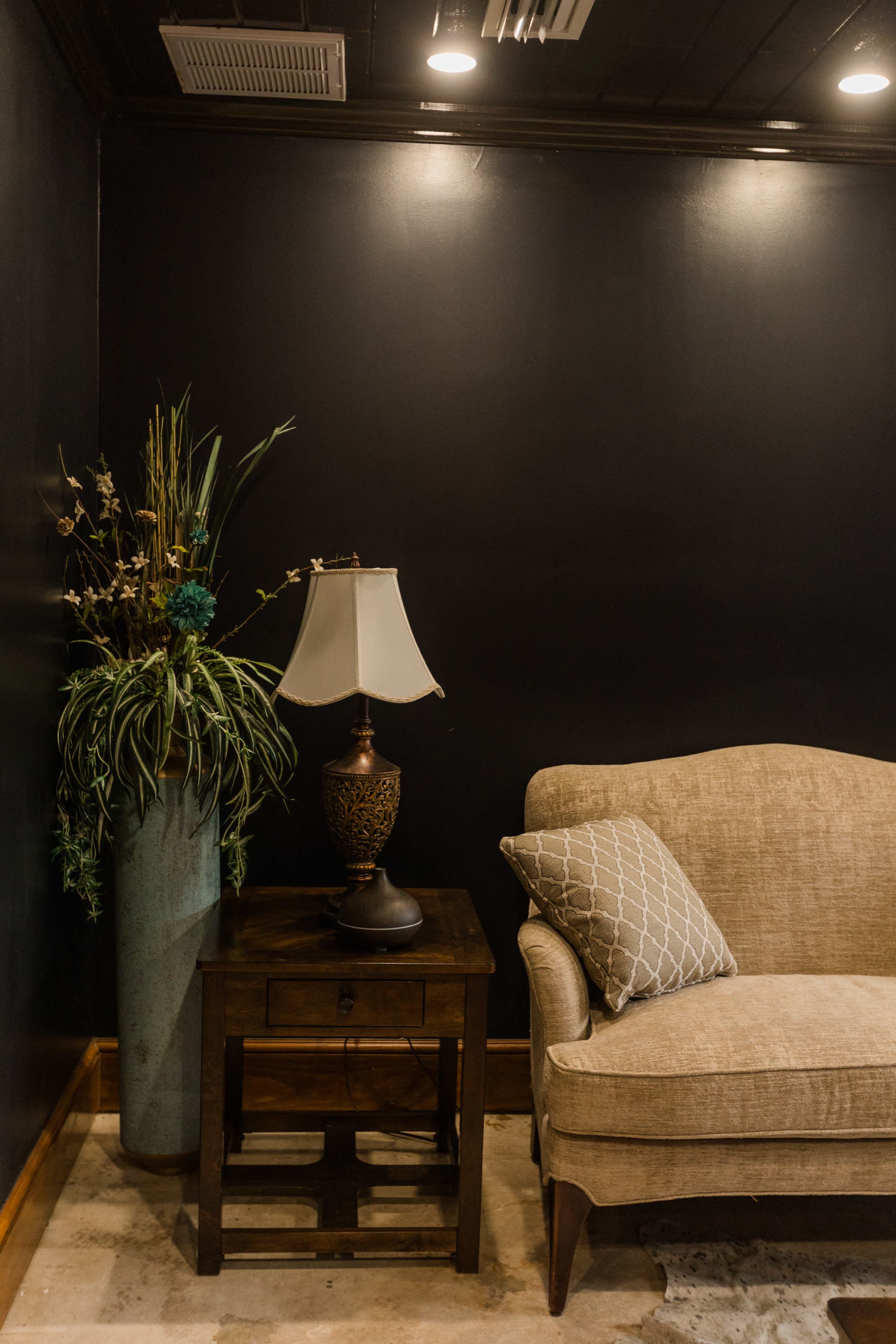The scene features a brown sofa next to a wooden side table with a lamp, accompanied by a tall planter with decorative plants against a black wall.