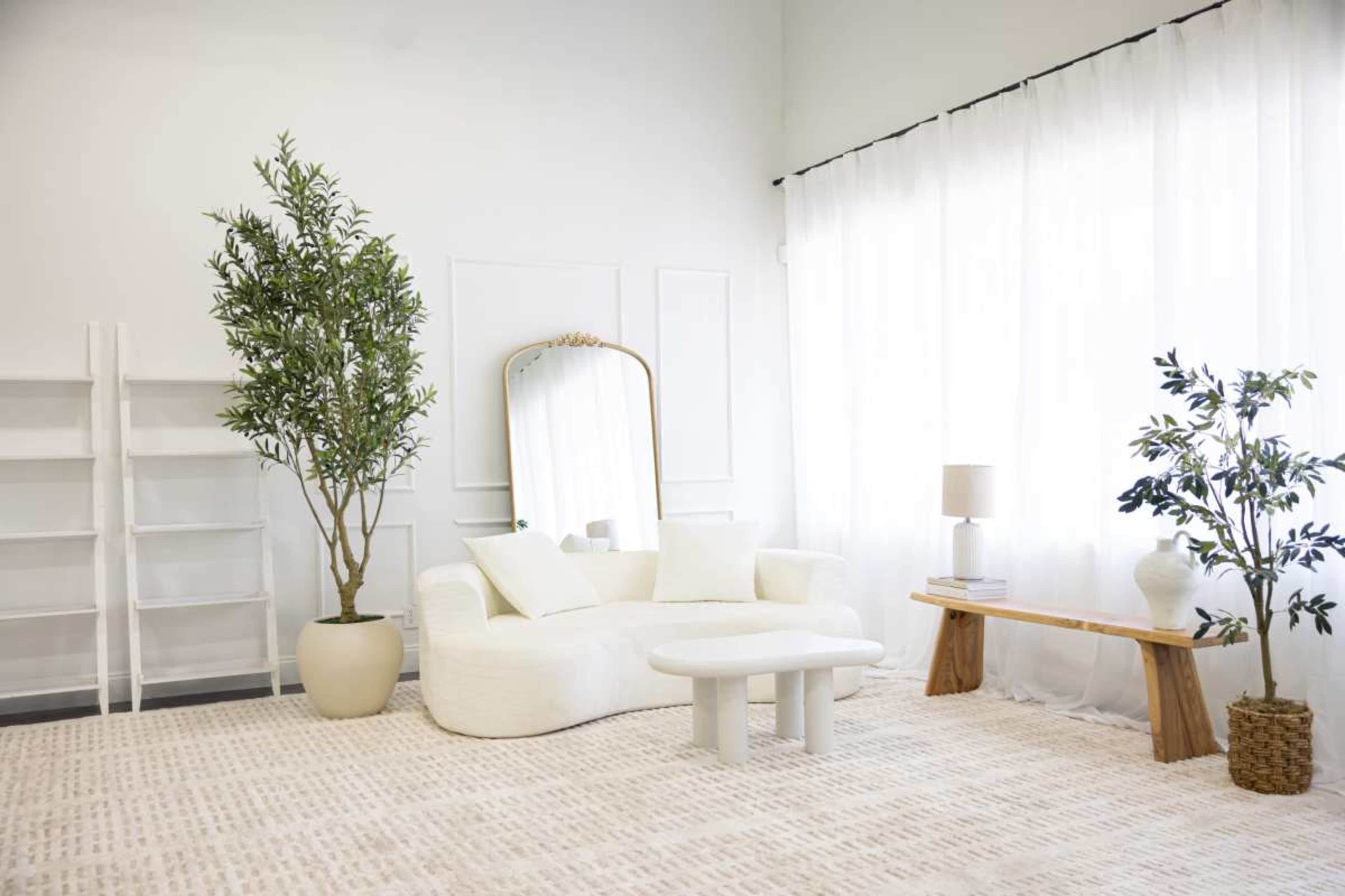 Modern Natural Light Studio in Downtown Fort Lauderdale Image in Dania Beach, Dania Beach, FL