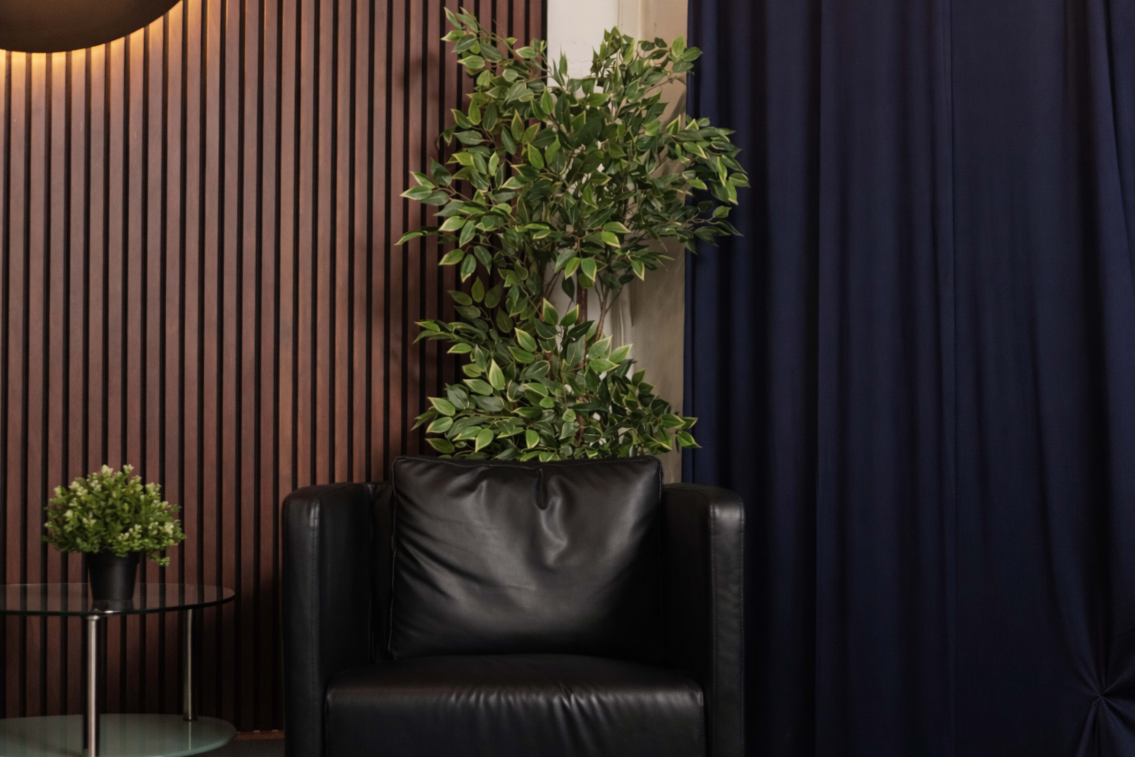 A black leather chair is positioned next to a small glass table, with a potted plant beside it and a tall bush-like plant emerging from the back of the chair, against a dark curtain and wooden paneling.