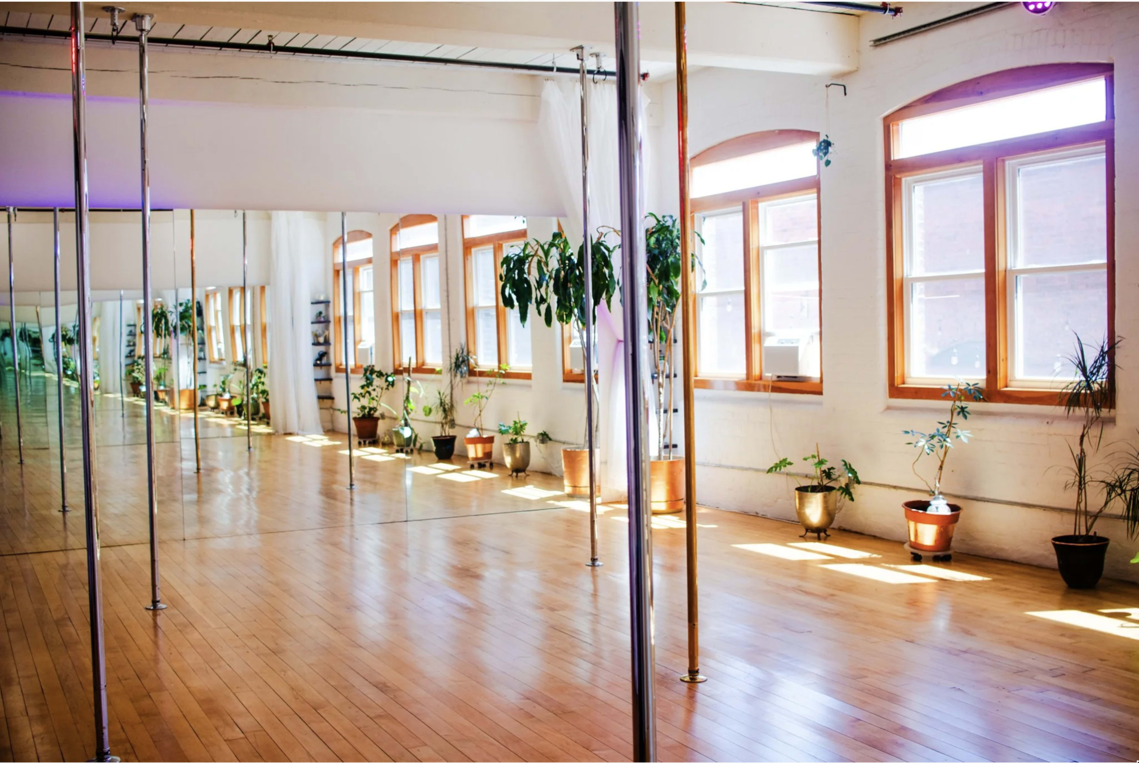 The image shows a spacious dance studio with wooden flooring, large windows, and several potted plants along the walls.