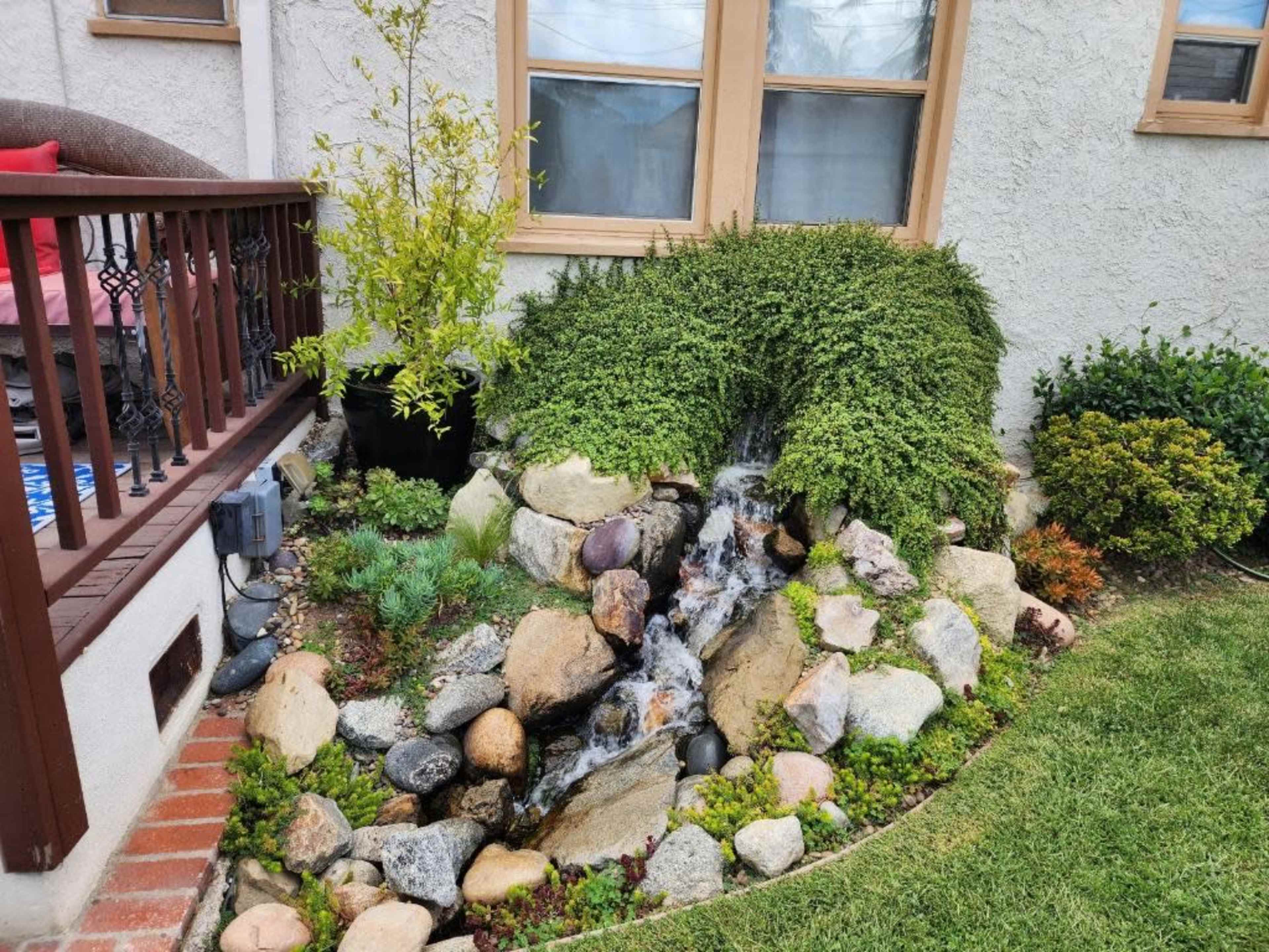 A landscaped area featuring a small waterfall flowing over rocks, surrounded by various shrubs and plants beside a house.