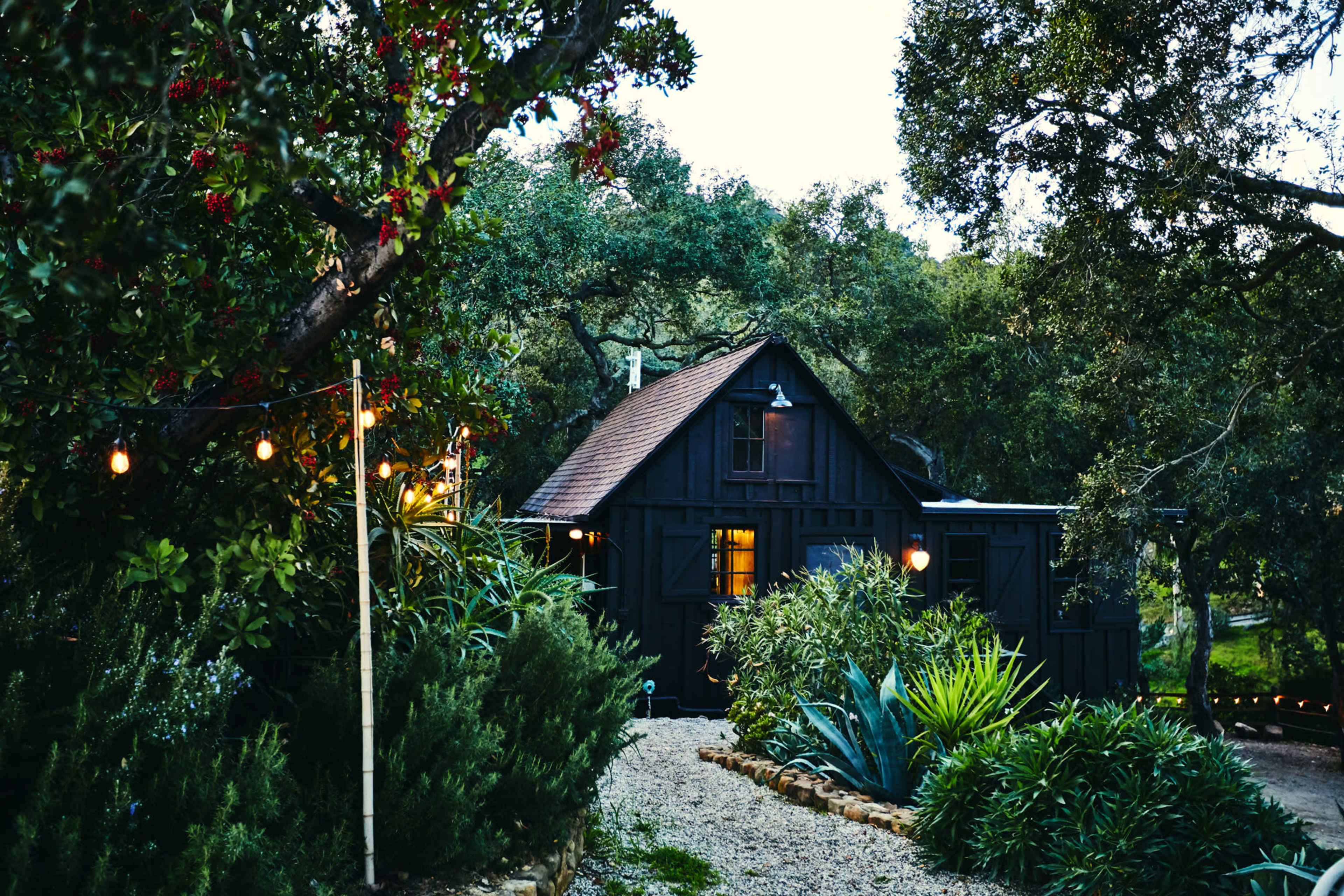 A dark wooden cabin surrounded by lush greenery and string lights illuminating the pathway.