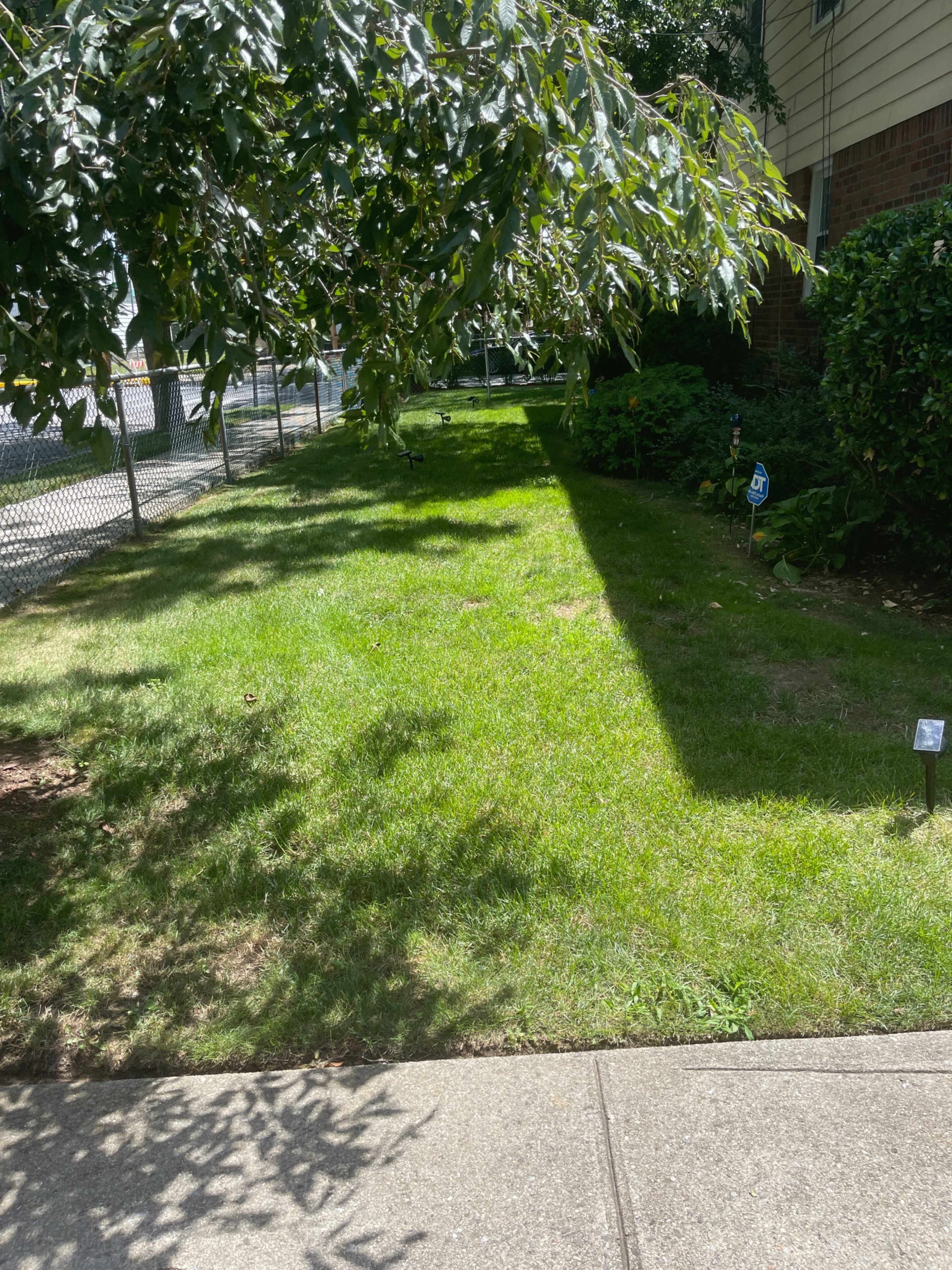 A green lawn bordered by a sidewalk and a fence, with some plants and a few markers in the grass.