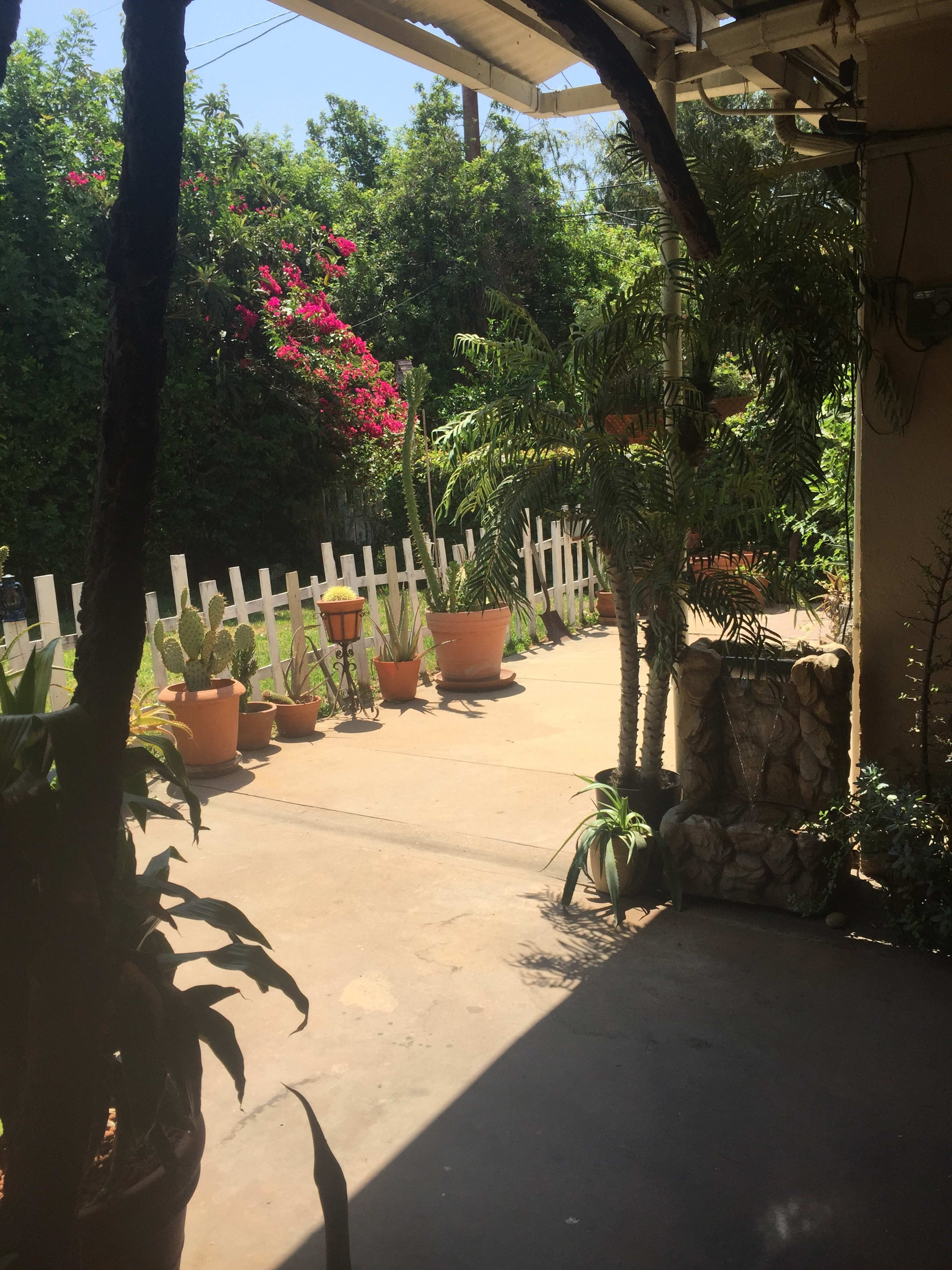 The image shows a pathway leading through a garden with potted plants and a white fence in the background.