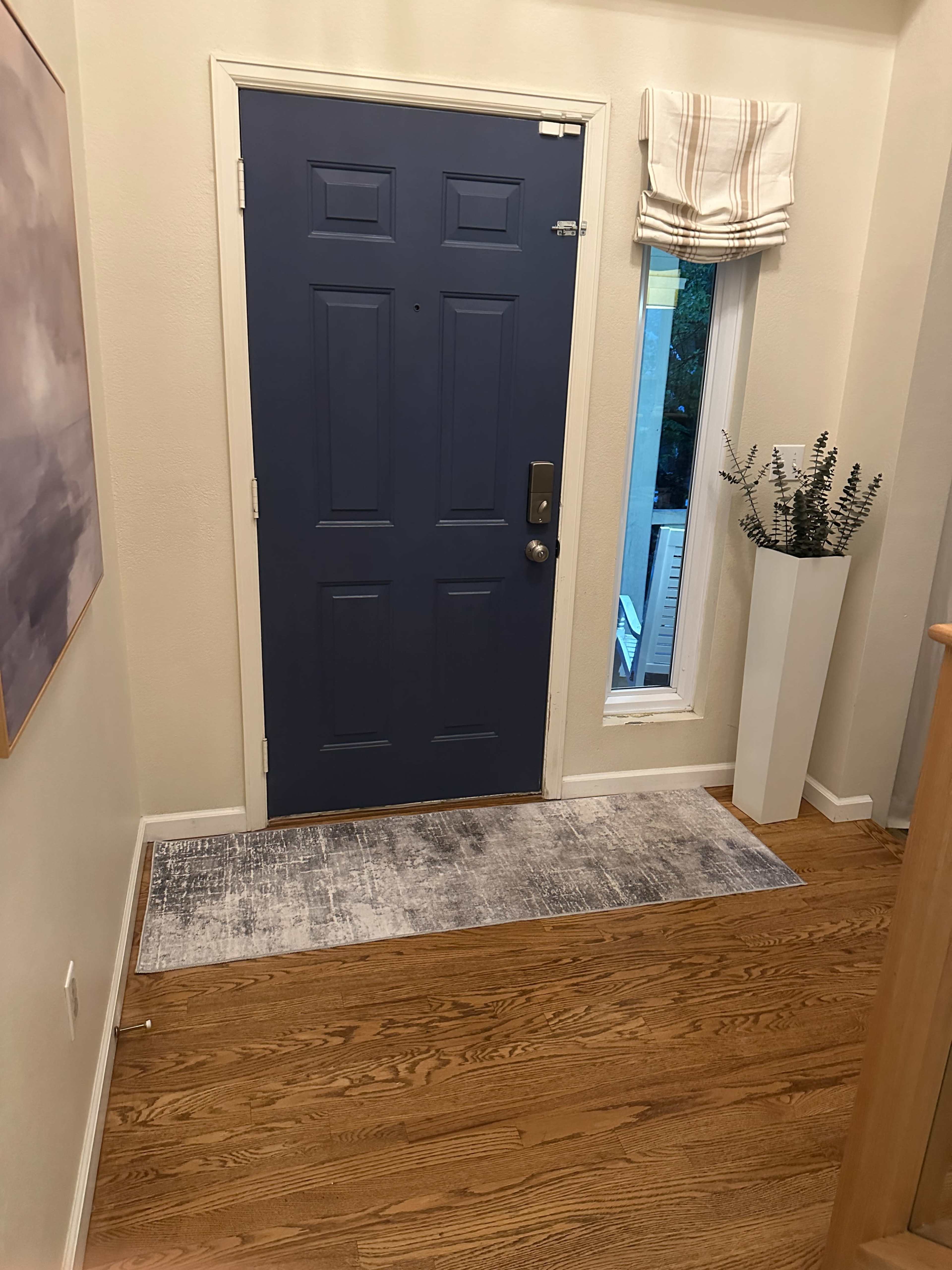 The image shows a hallway with a blue front door, a small window beside it, a tall planter with greenery, and a gray rug on wooden flooring.
