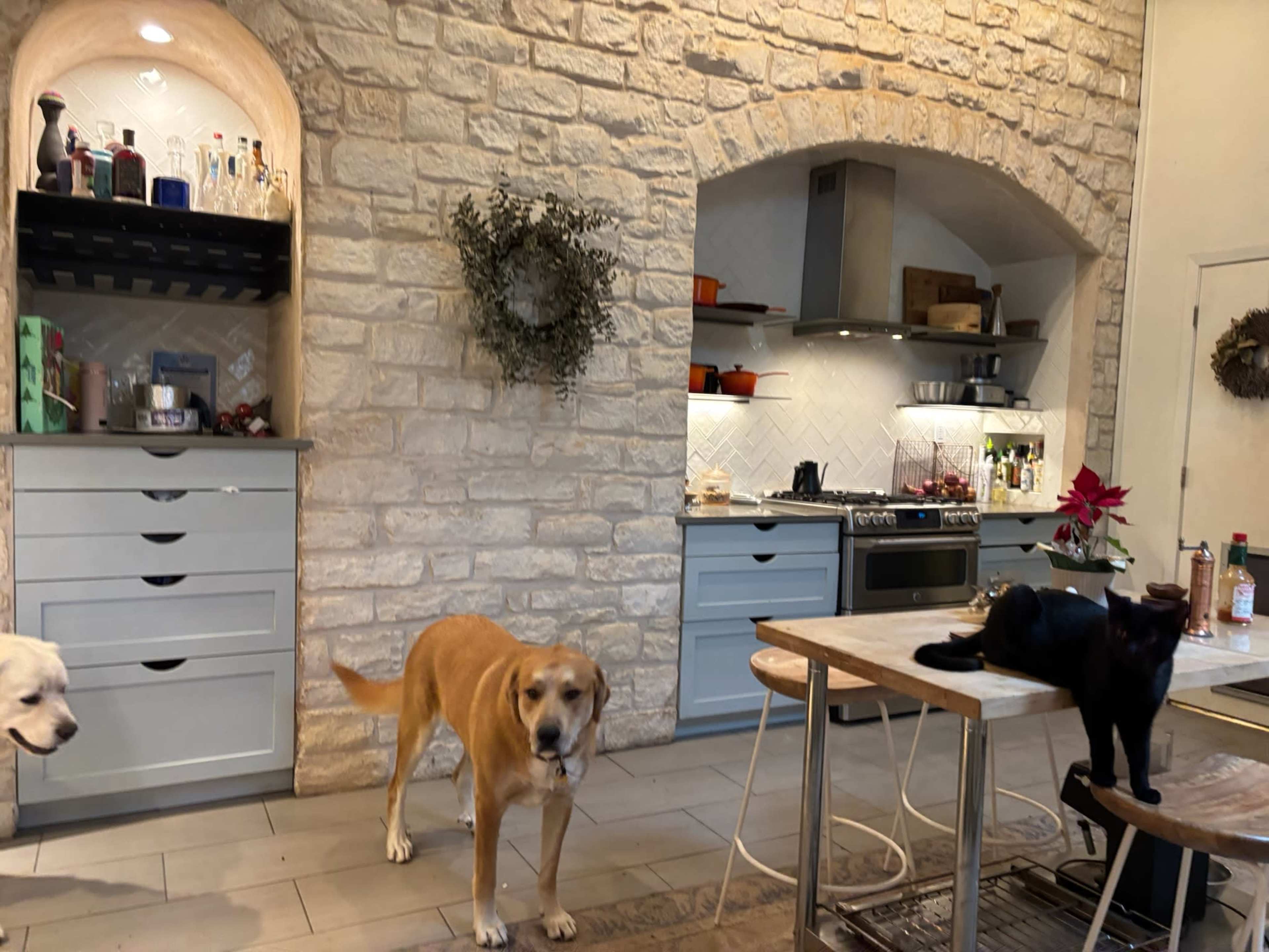 Limestone French Country-Style Home, Corner Lot Family Home - Creek, Custom Kitchen, Huge Yard Image in Hunter Oaks, Austin, TX