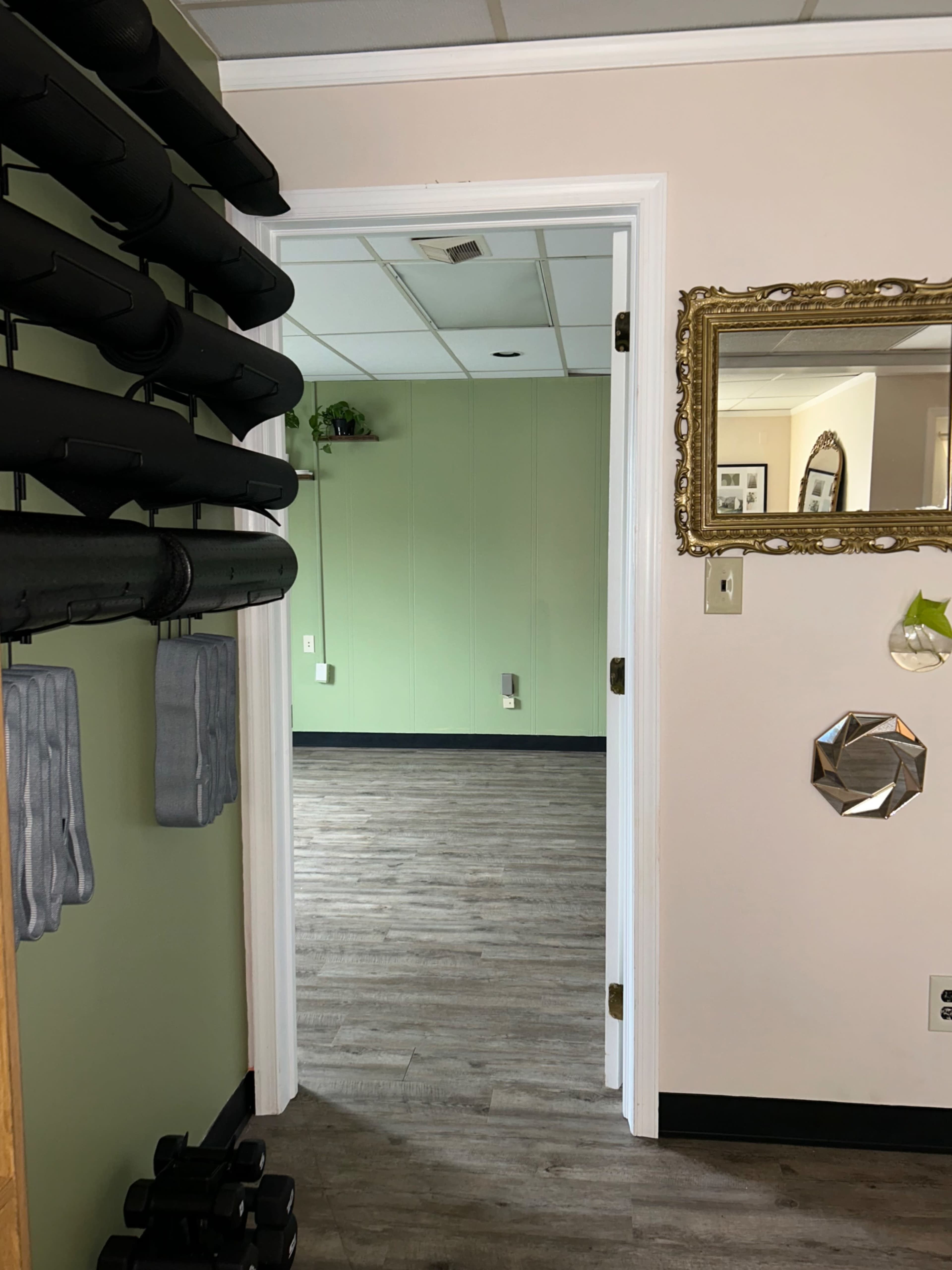 Aesthetic Fitness Studio Image in Wilson, Easton, PA