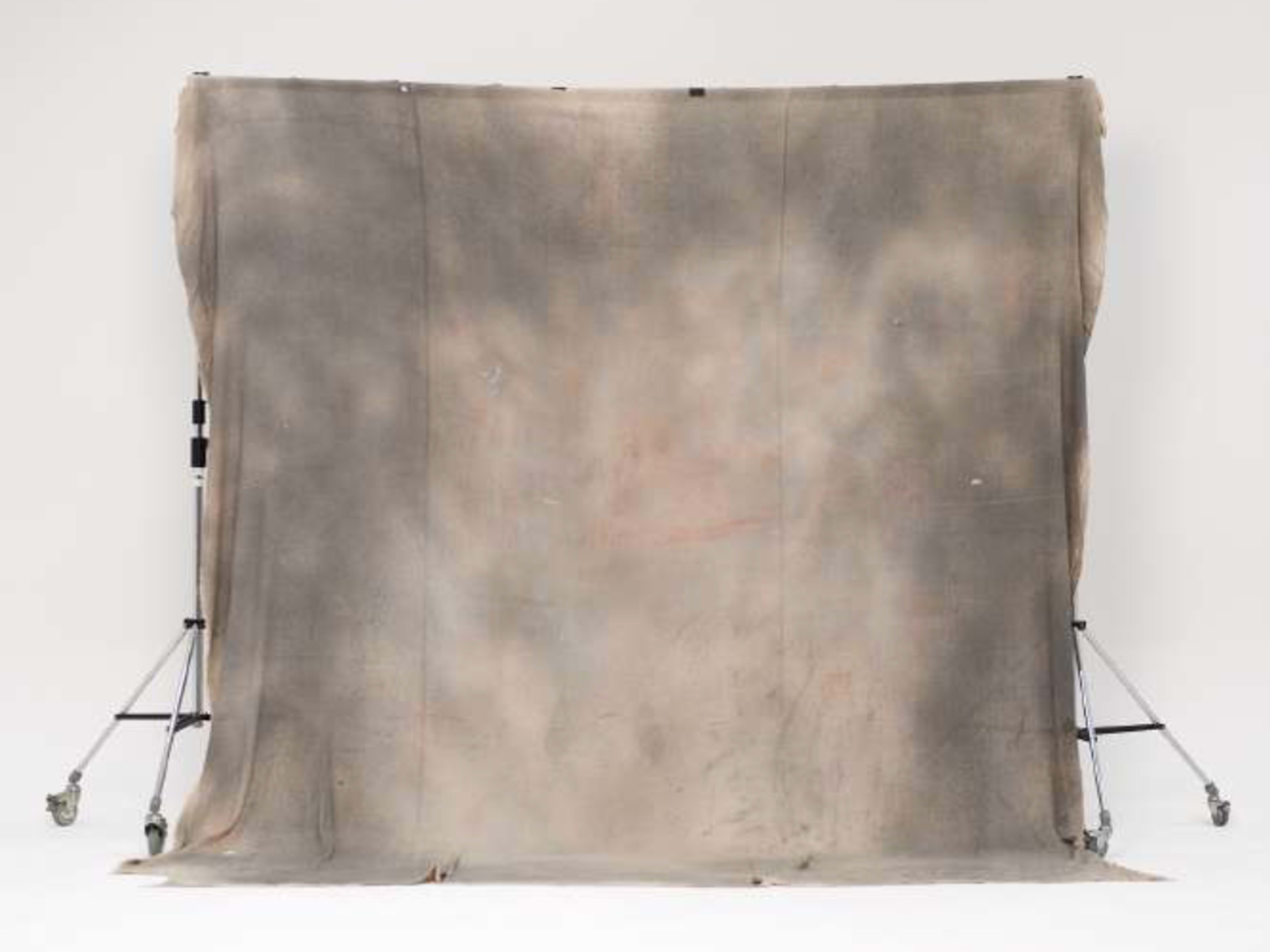Fabric Backdrop: Mottled Fine Art